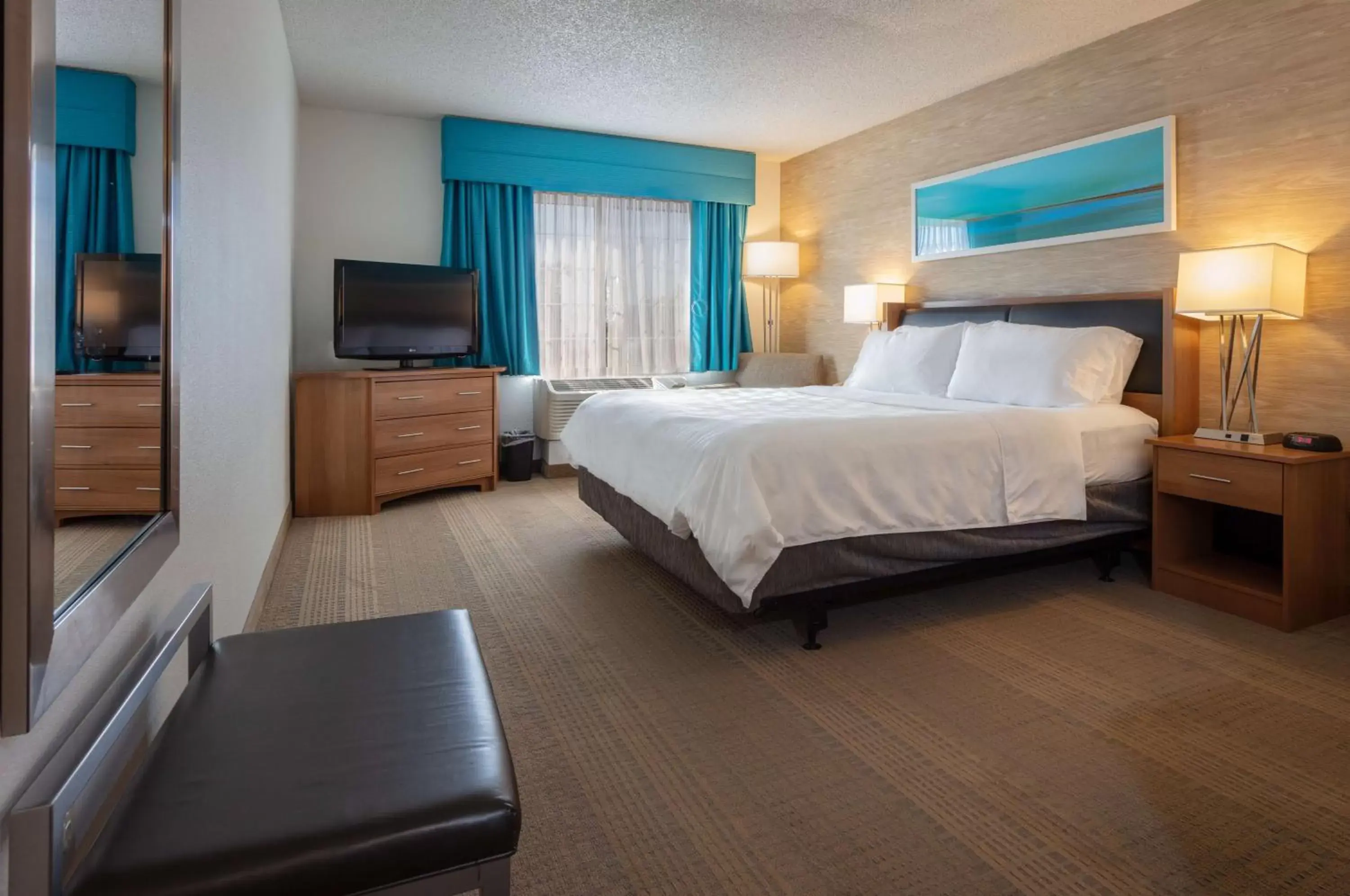 TV and multimedia in Sonesta Anaheim Resort Area