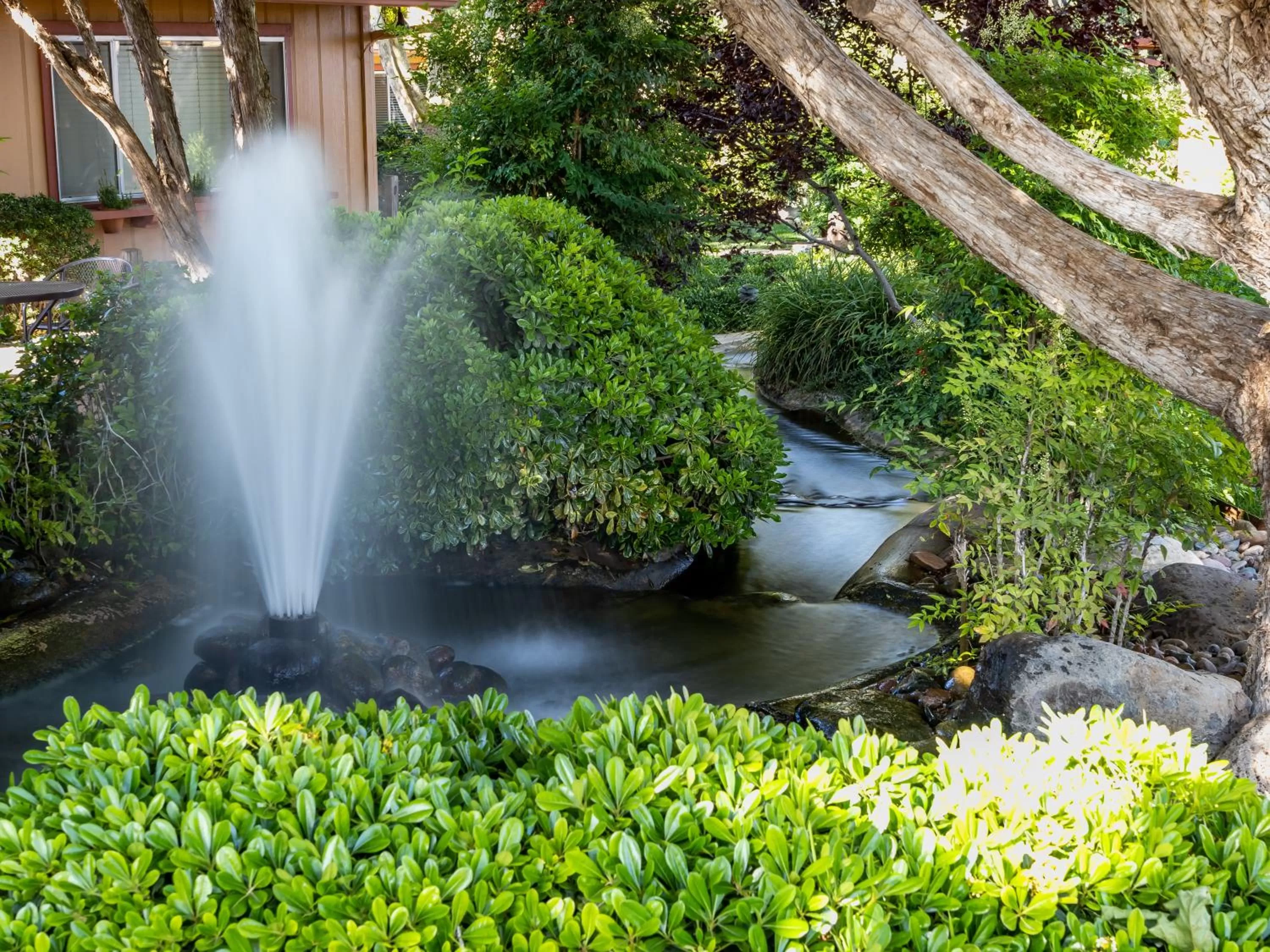 Natural landscape in Sky Ranch Lodge