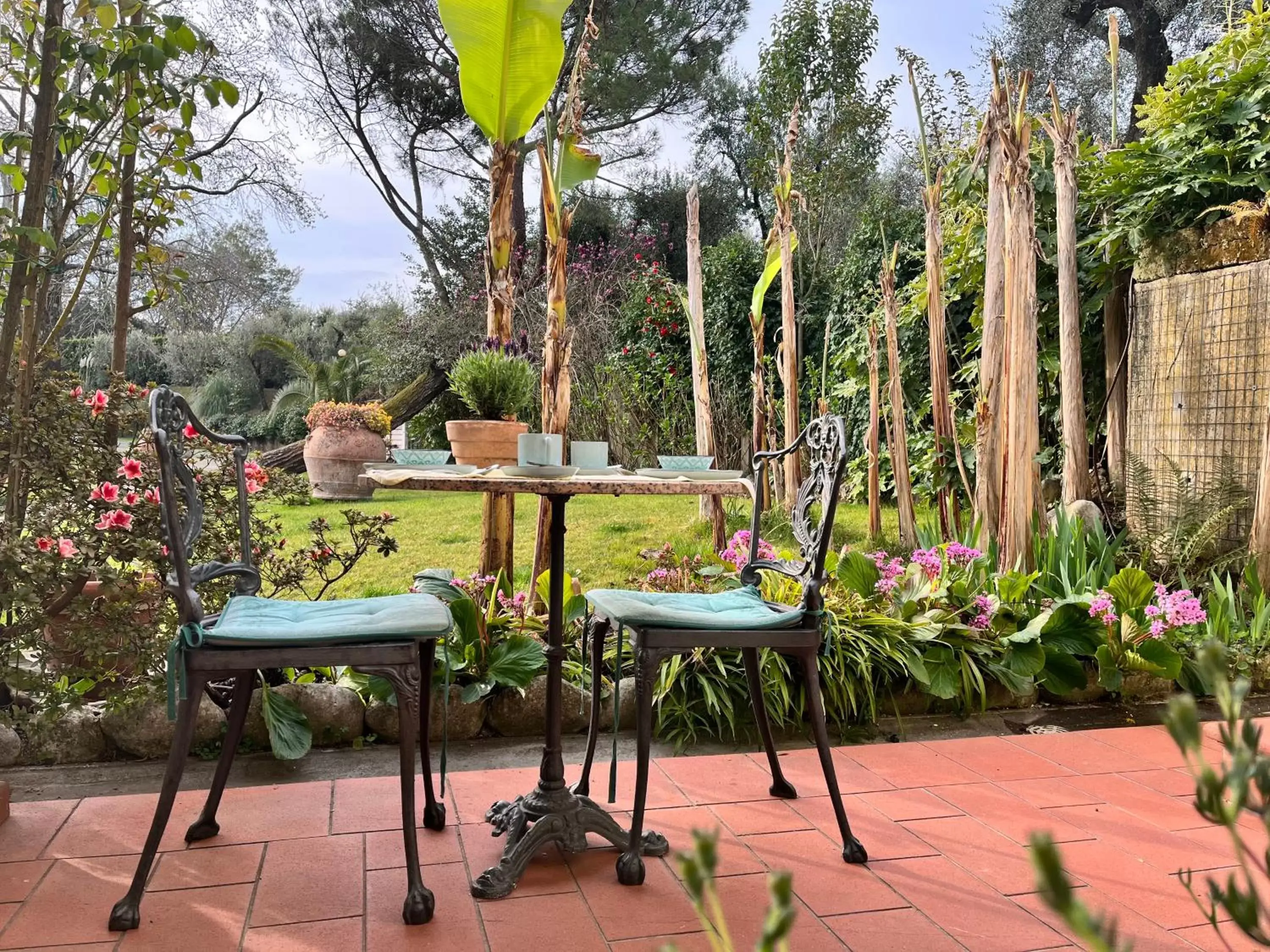 Garden view in Casa del Pino