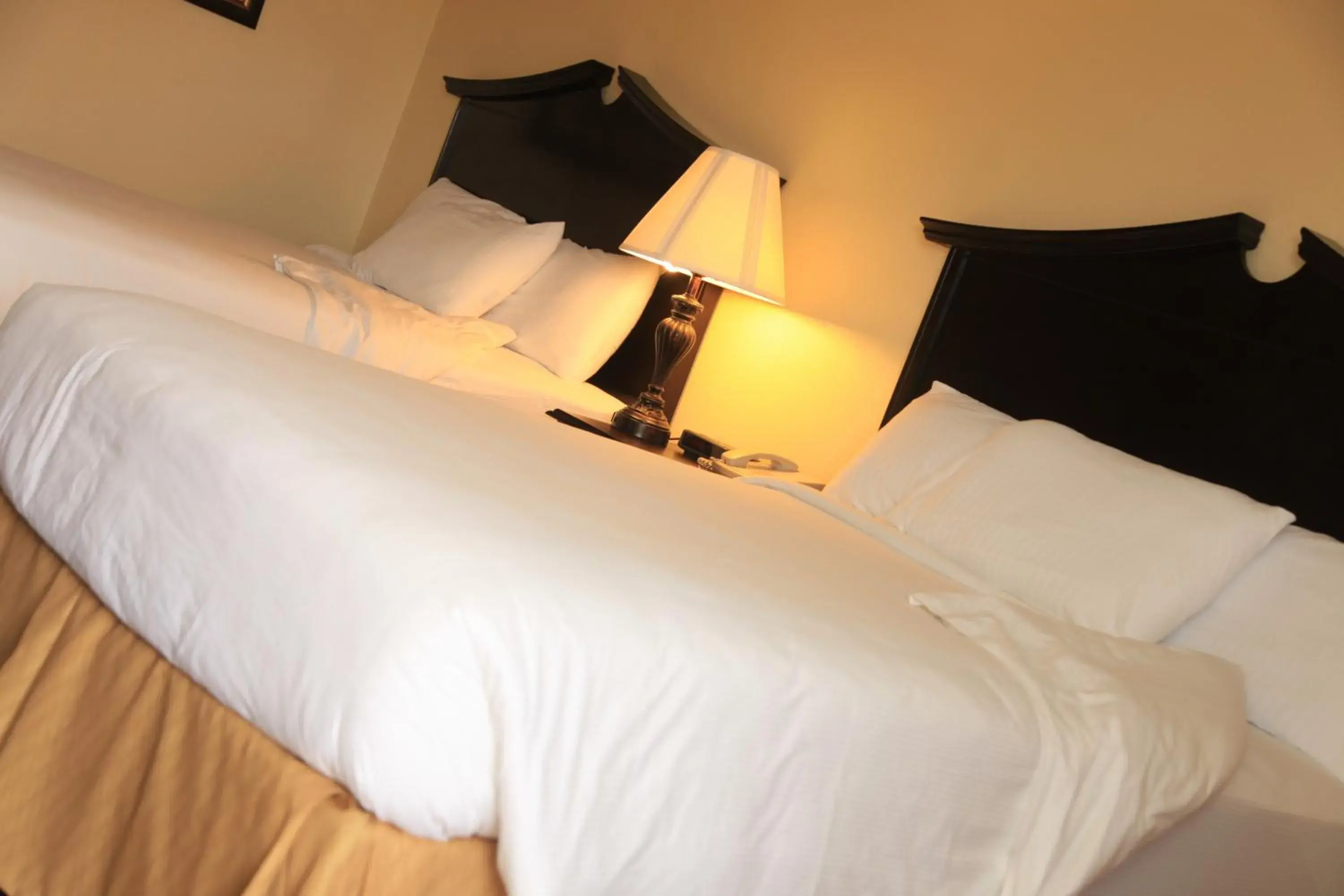 Bed in Plaza Inn Midland Bed in Plaza Inn Midland