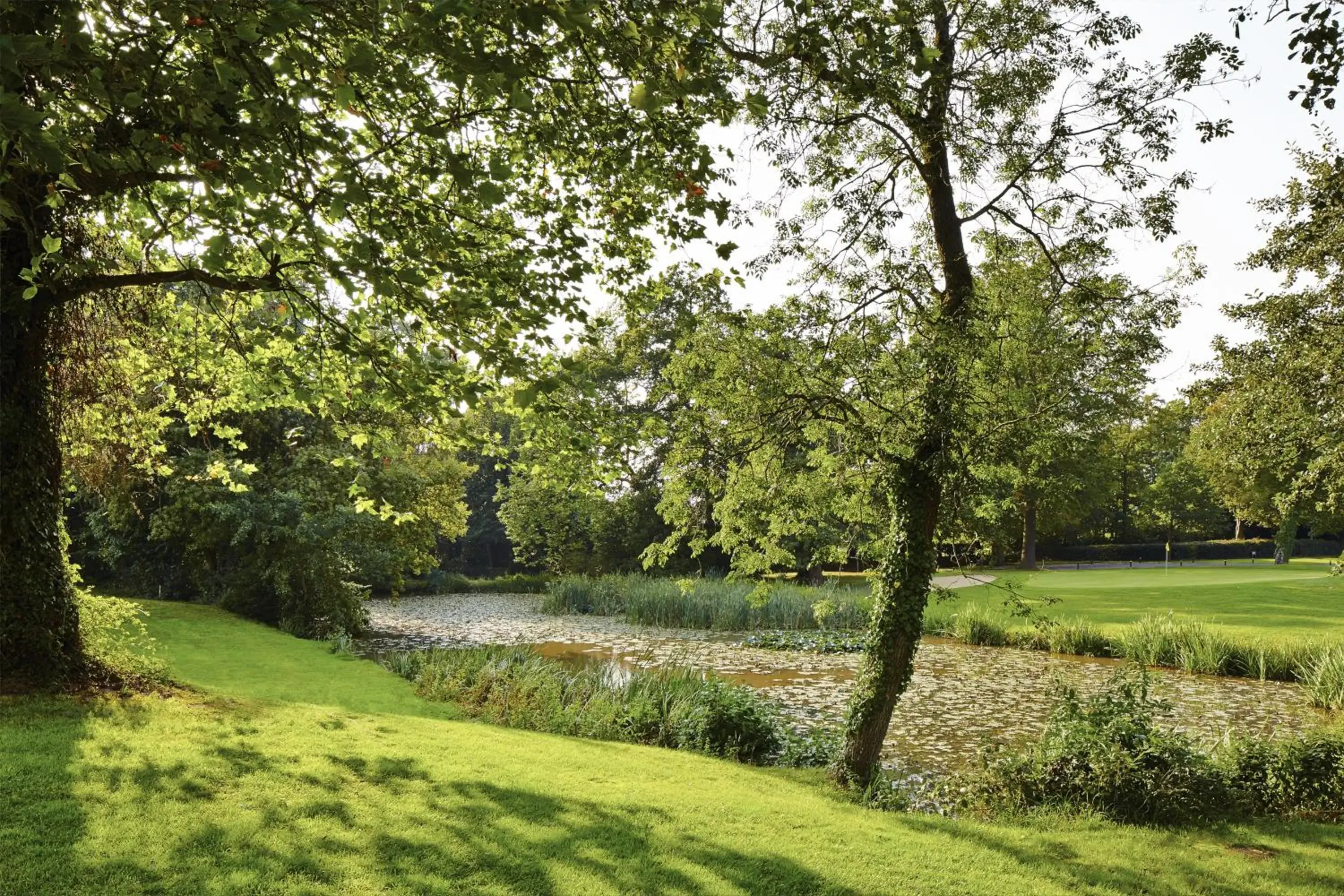Facade/entrance in Meon Valley Hotel, Golf & Country Club Facade/entrance in Meon Valley Hotel, Golf & Country Club