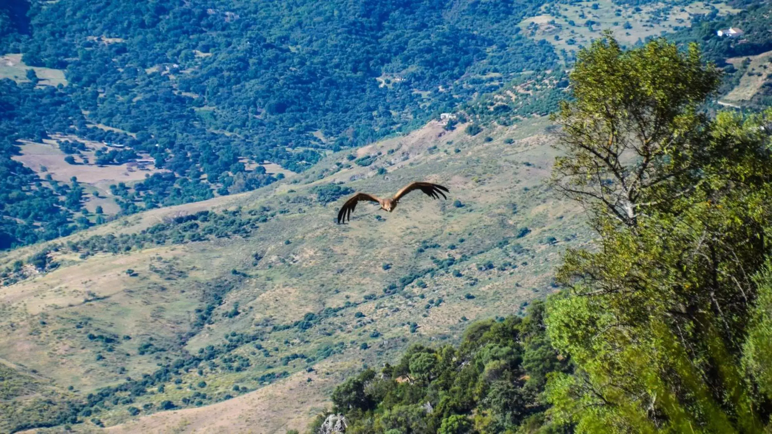 Natural landscape in Casas Rurales Los Algarrobales