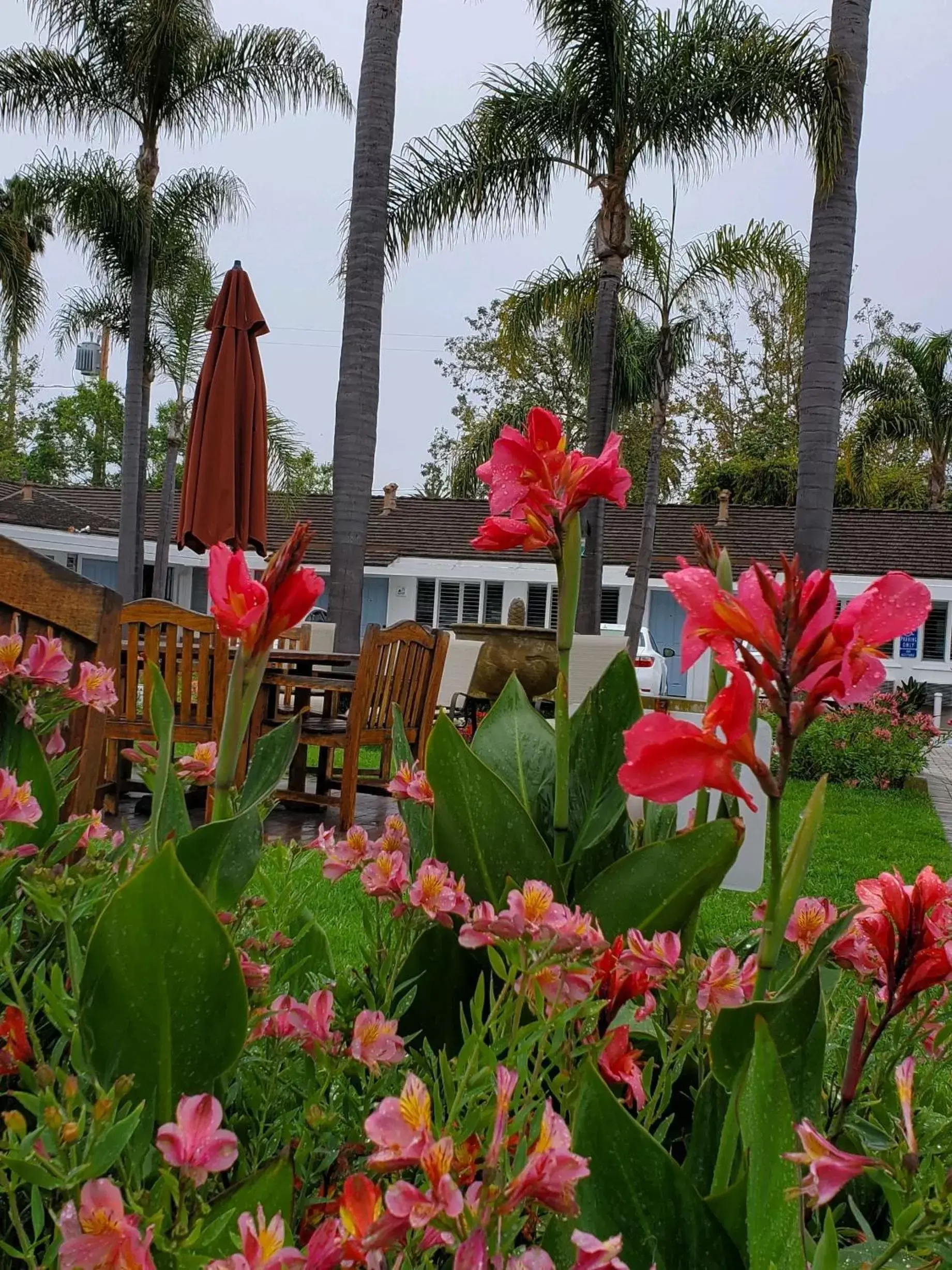 Garden in Marina Beach Motel