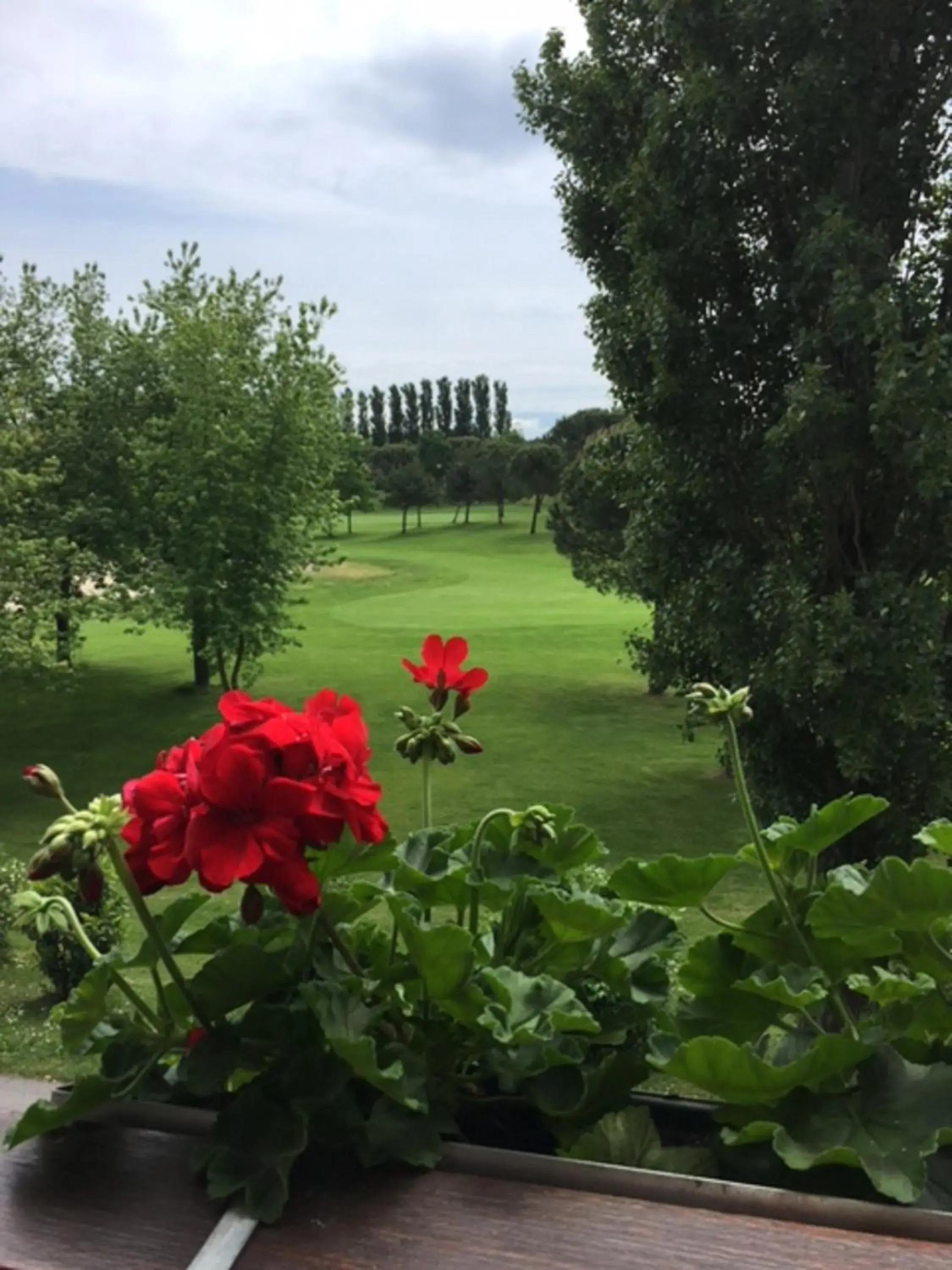 View (from property/room), Garden in Hotel Golf Inn