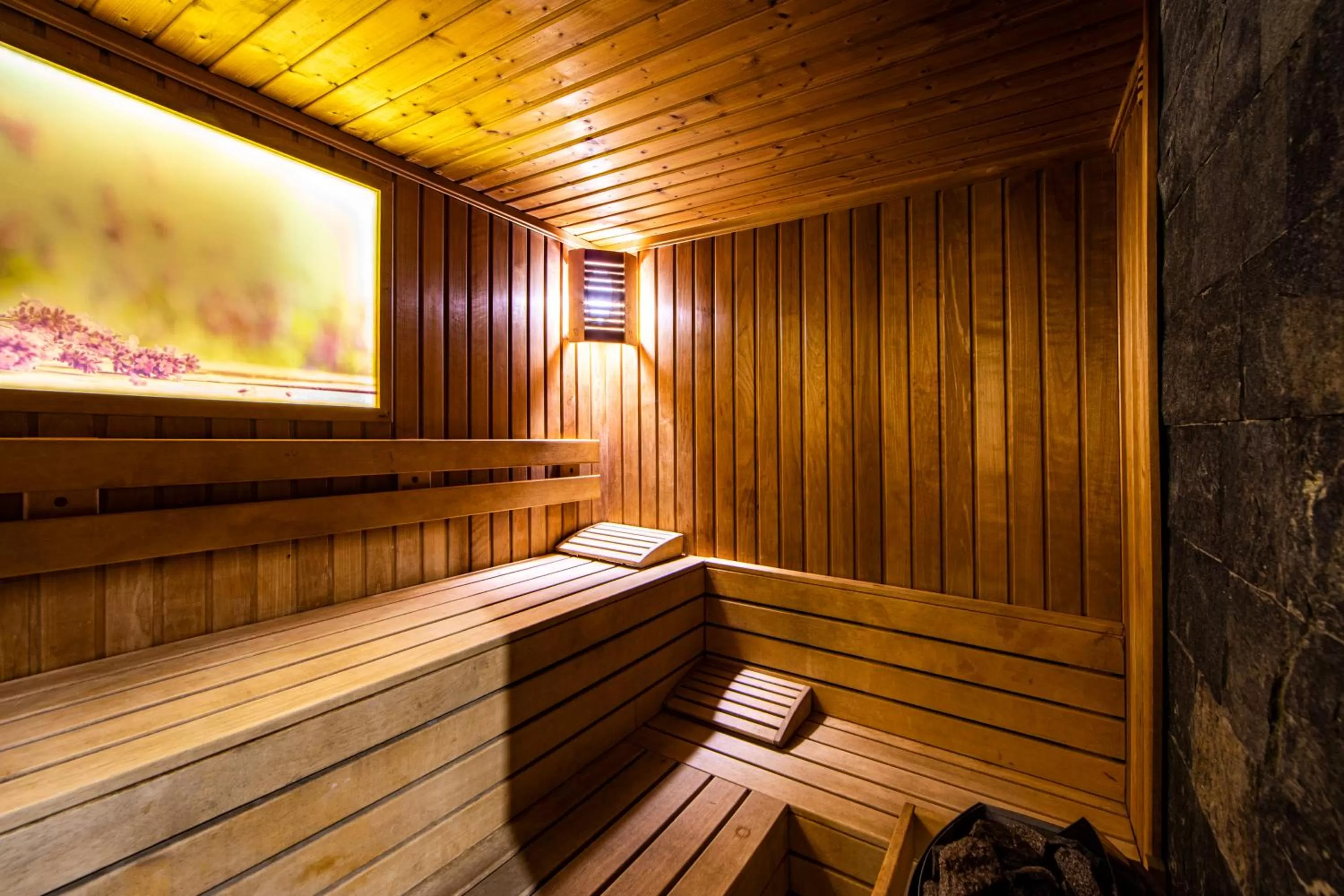 Sauna in Spa Hotel Ezeretz Blagoevgrad