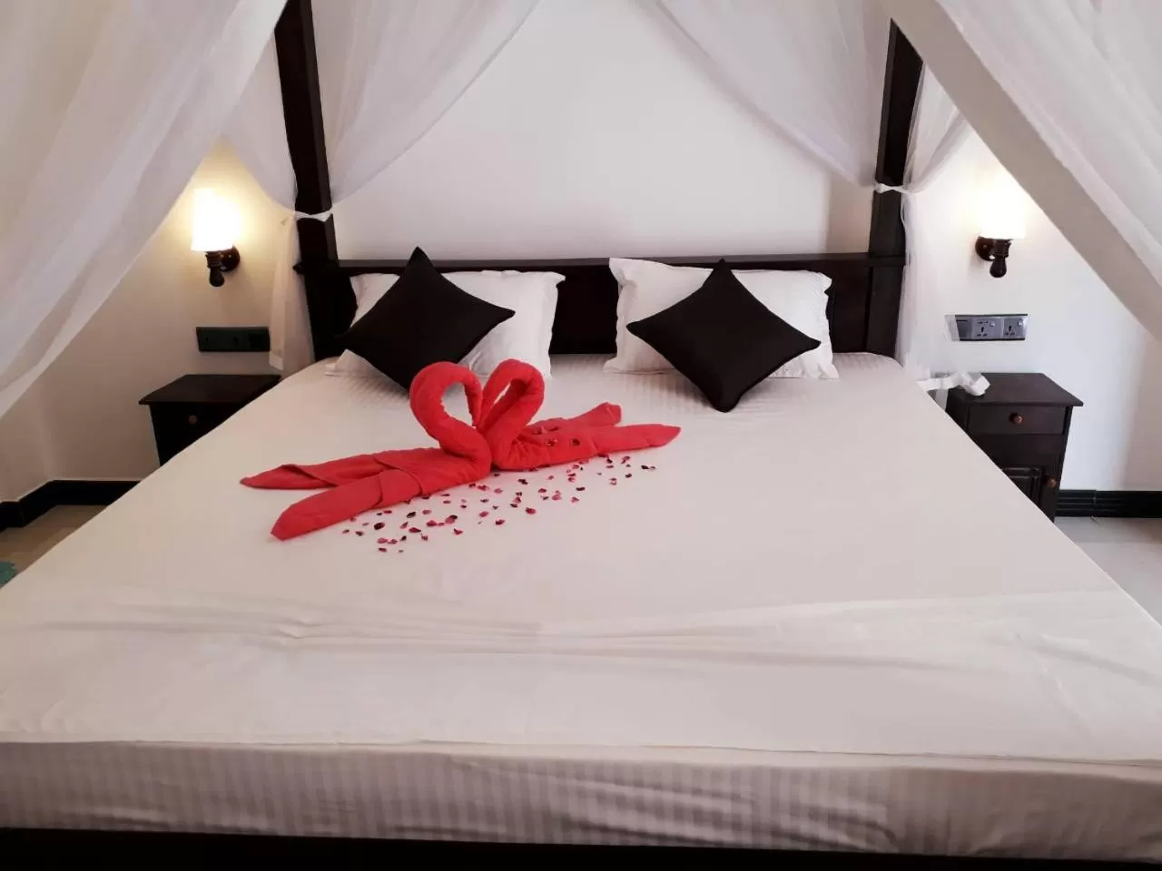 Bed in Turtle Reef Guest