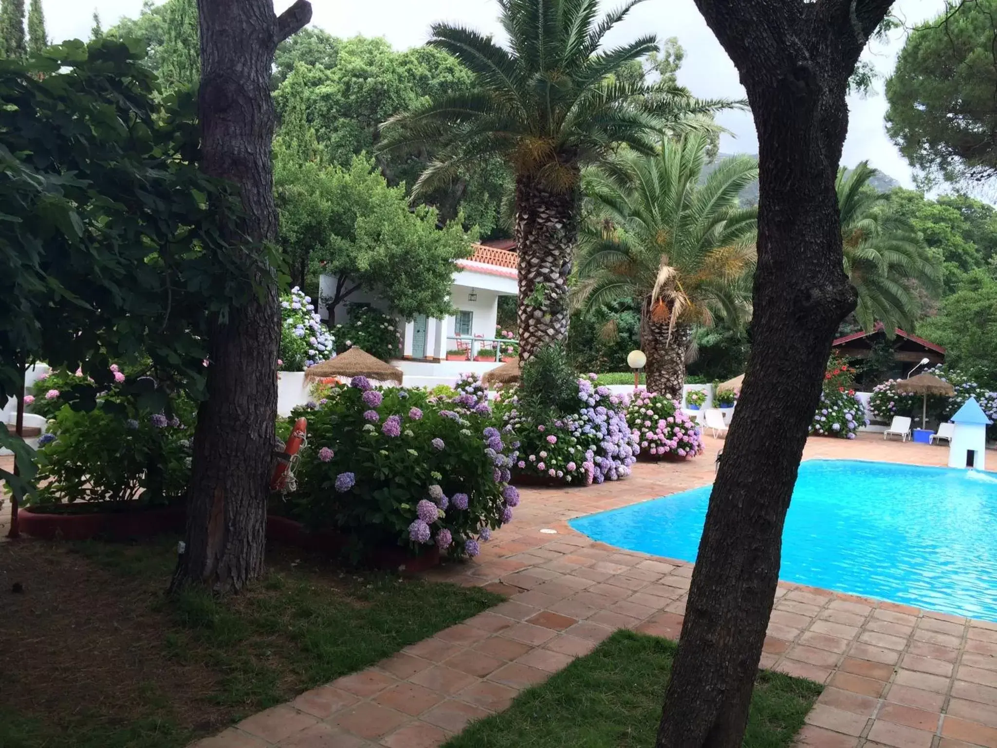 Swimming Pool in Mesón de Sancho