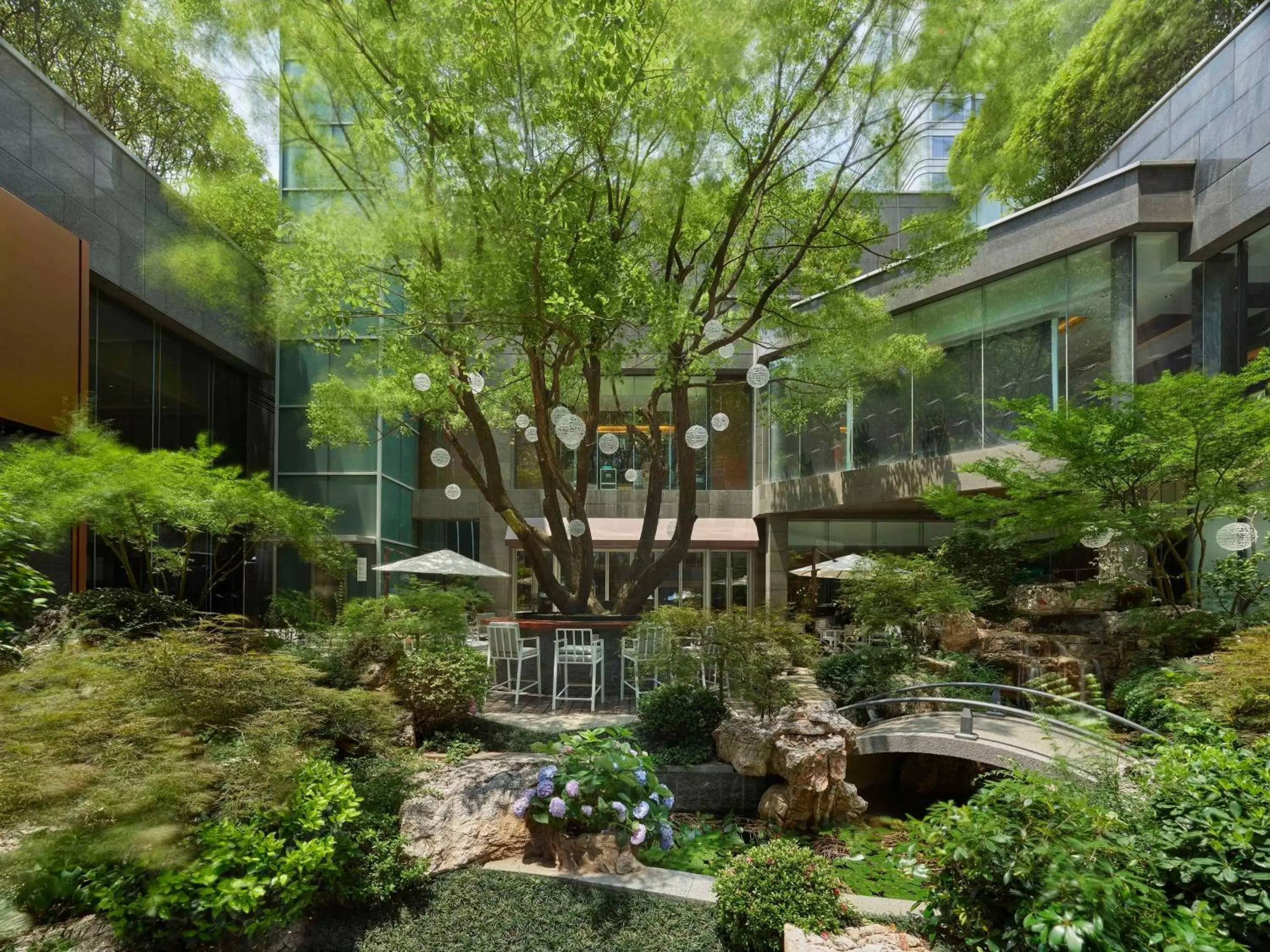 Restaurant/places to eat in Hilton Shanghai Hongqiao Restaurant/places to eat in Hilton Shanghai Hongqiao