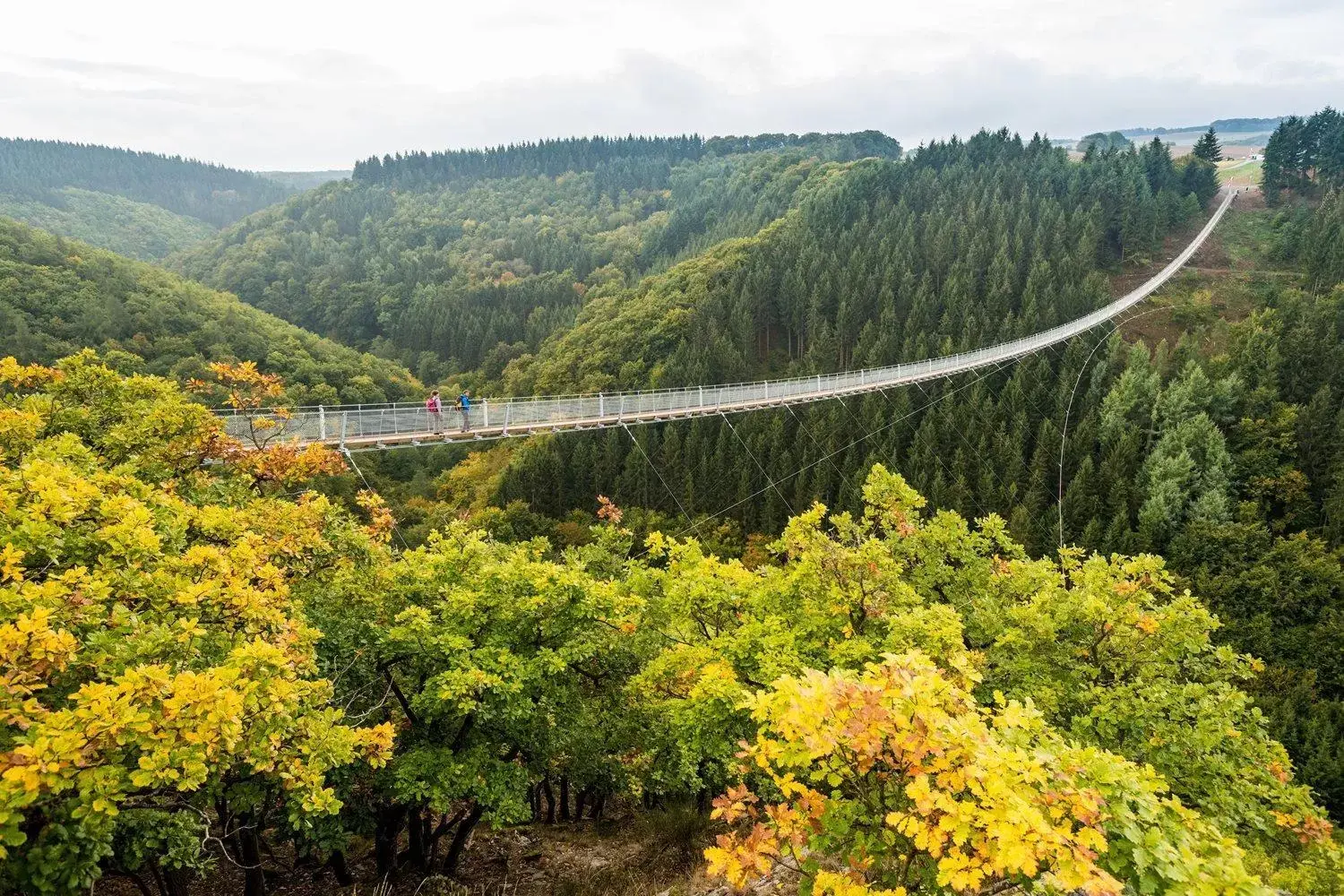 Activities, Natural Landscape in Hochwald Lodge