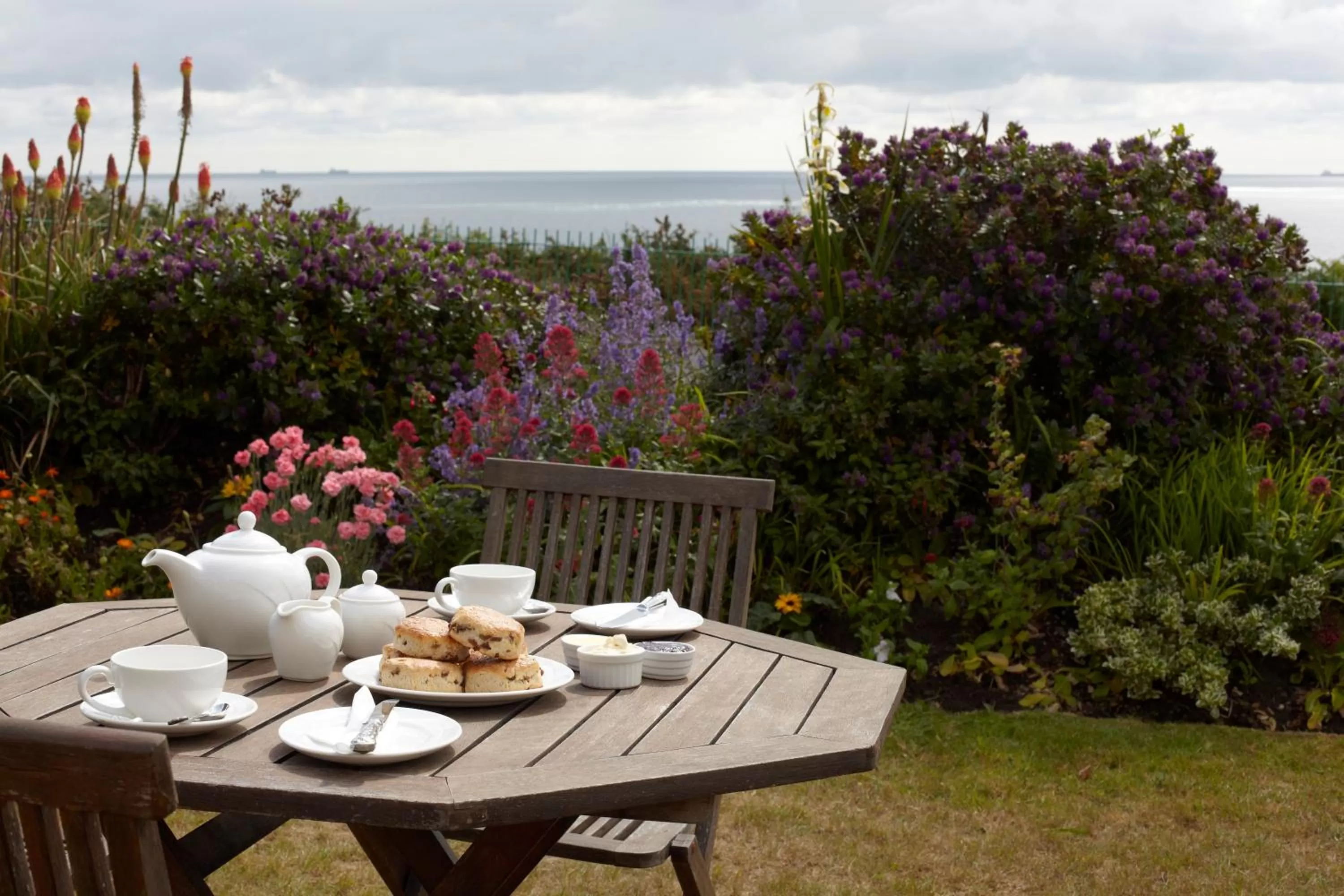 Garden view in The Clifton