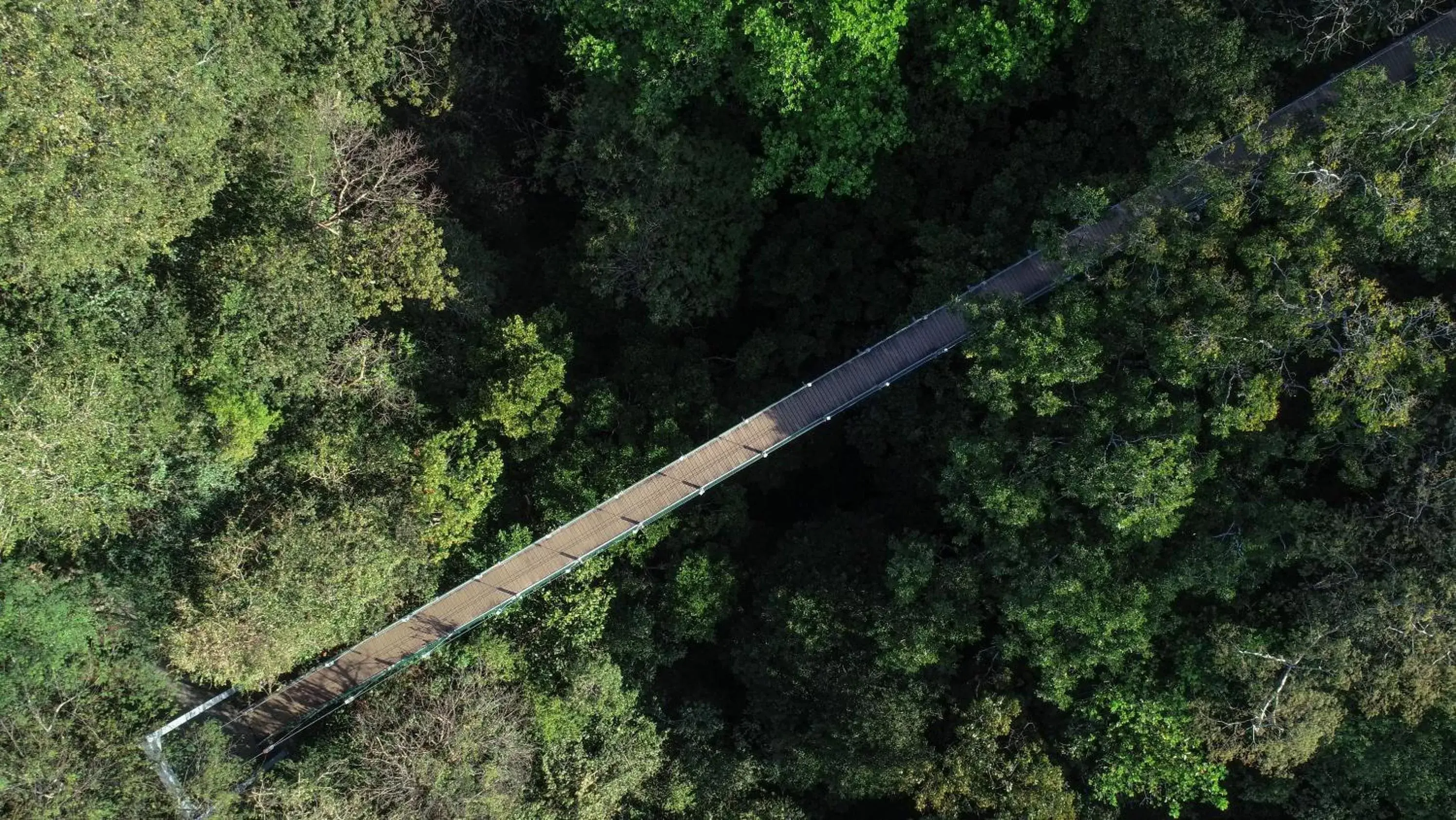 Natural landscape in Rio Perdido Hotel & Thermal River