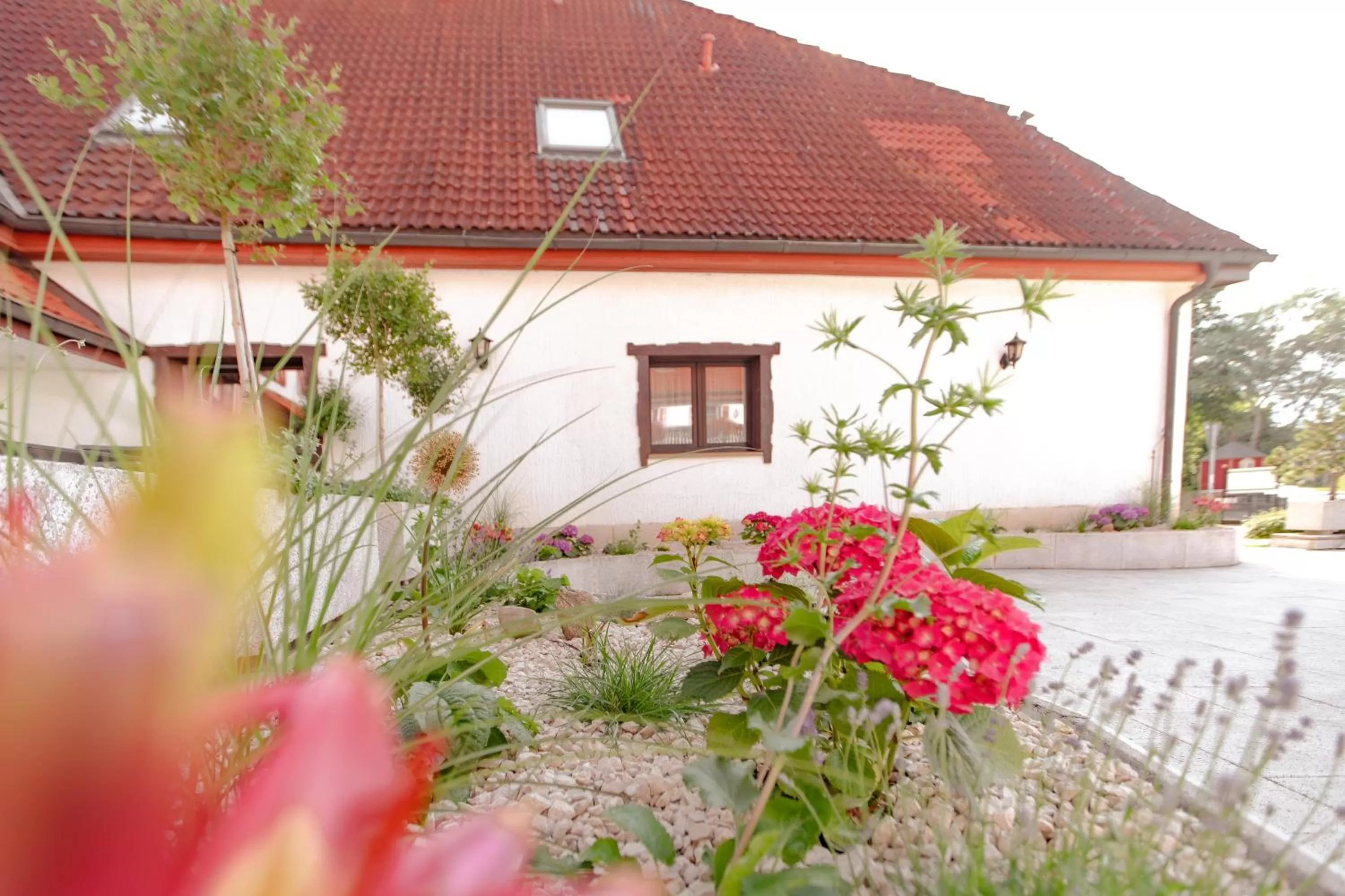 Property building in Hotel Frauensteiner Hof