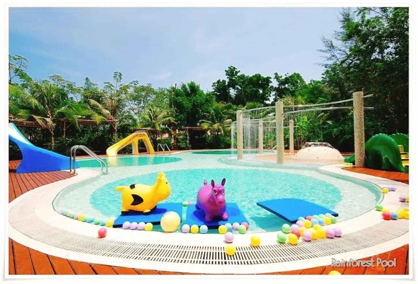 Swimming Pool in Birds and Bees Resort