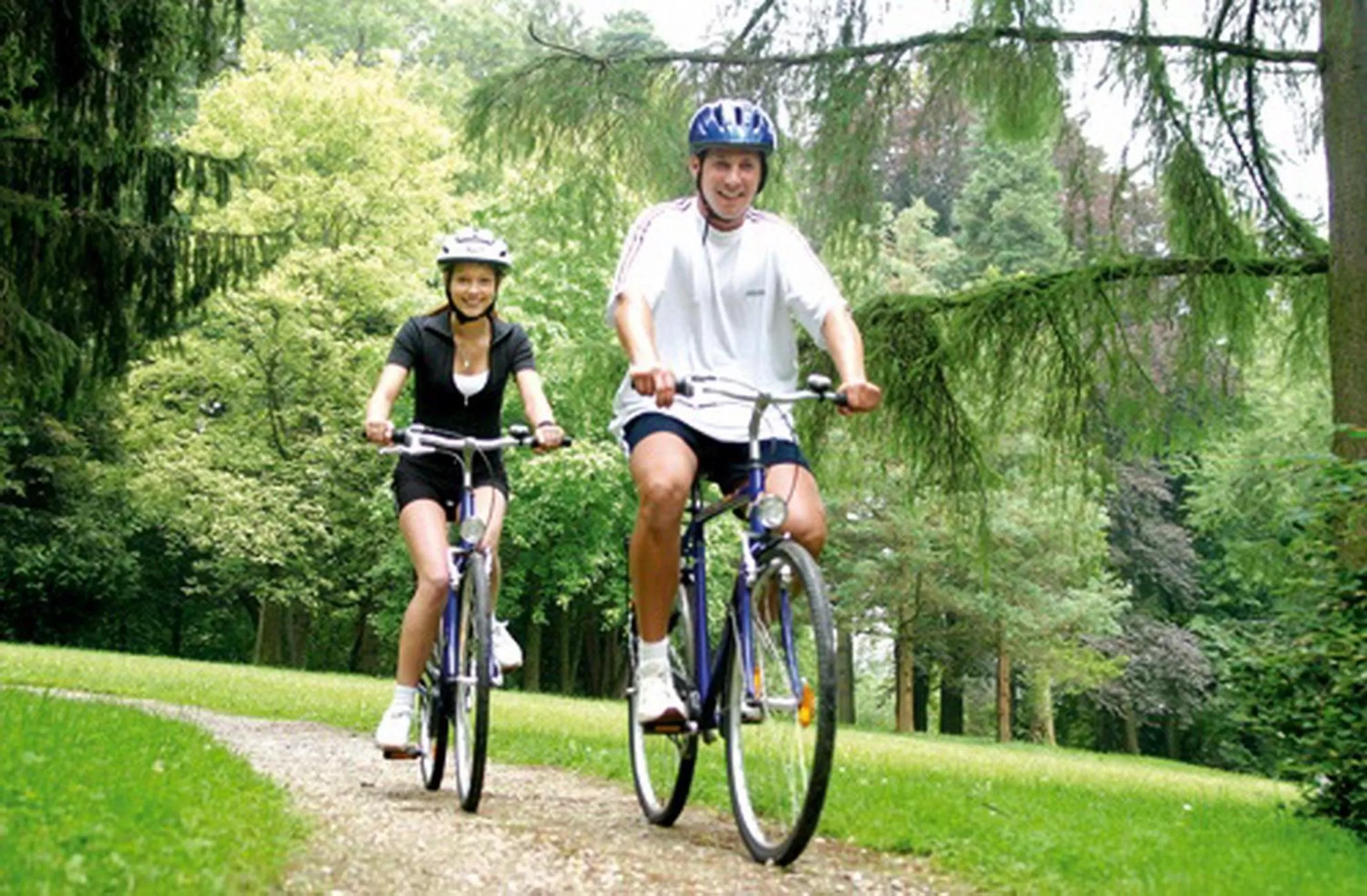 Area and facilities in Parkhotel zur Klause