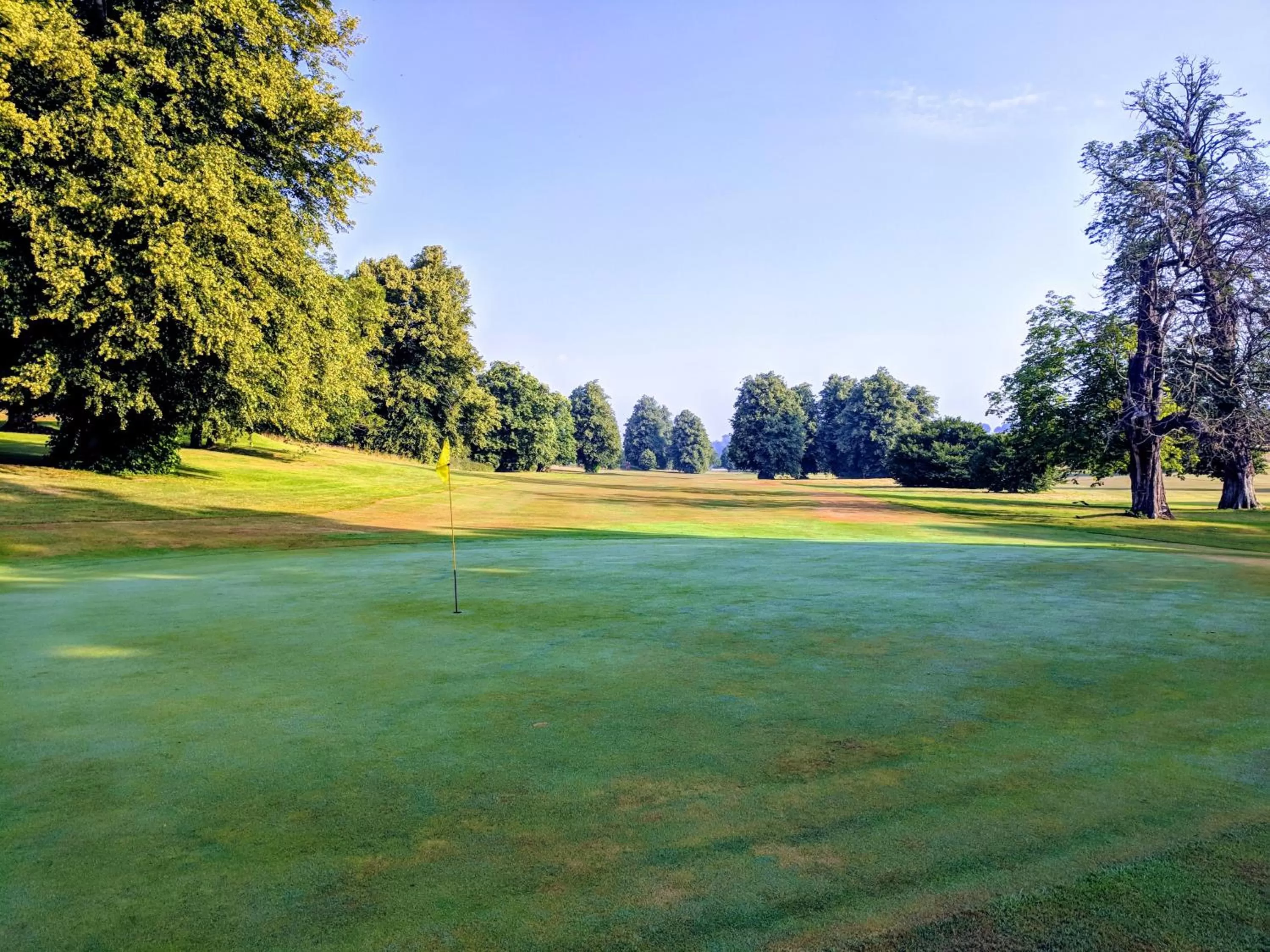 Natural landscape in Broome Park Hotel