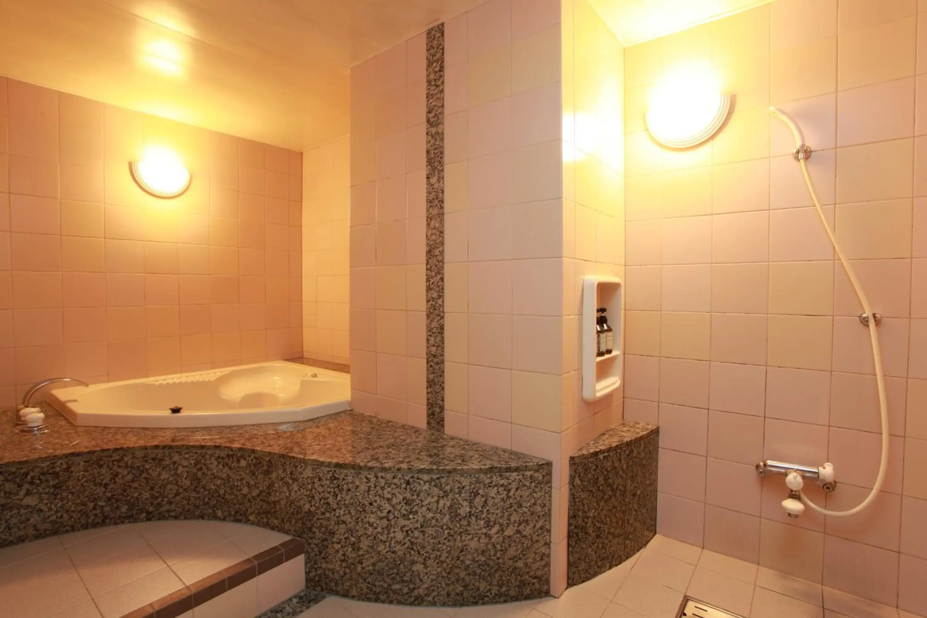 Decorative detail, Bathroom in Hotel Sasarindou
