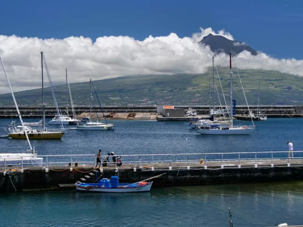 Faial Marina Apartments 1
