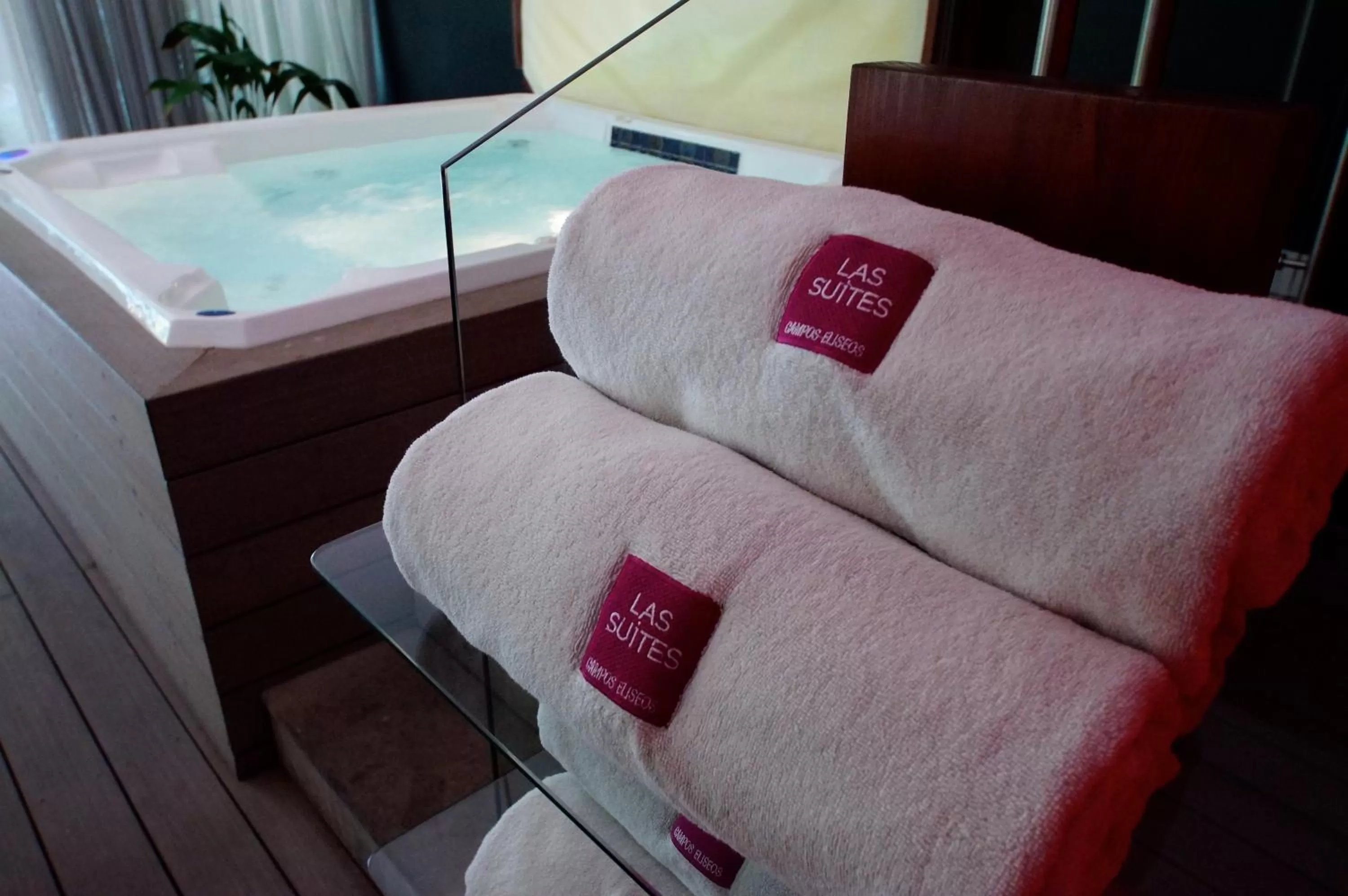 Decorative detail in Las Suites Campos Eliseos