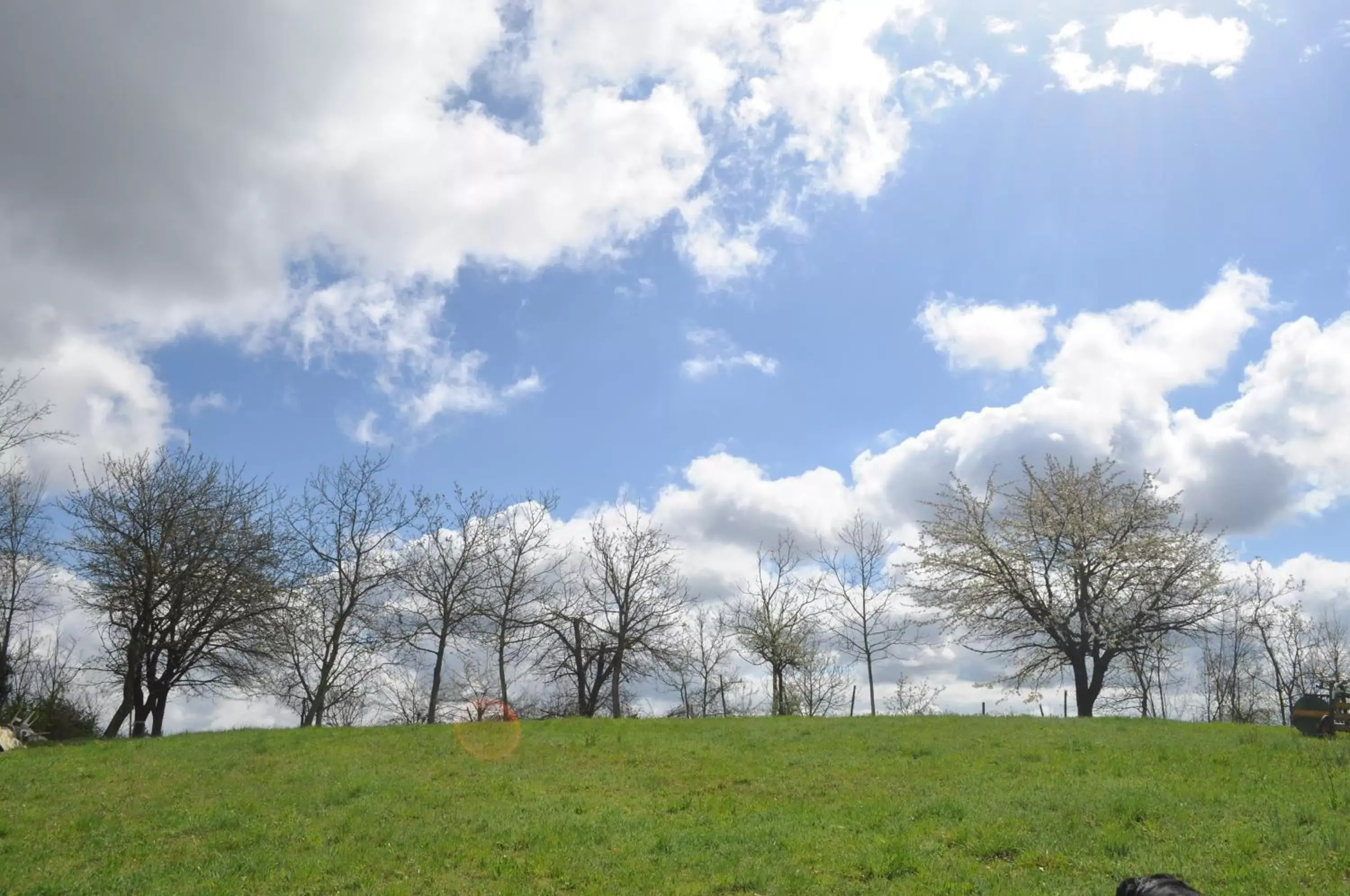 Natural landscape in B&B La Semplice Nel Verde