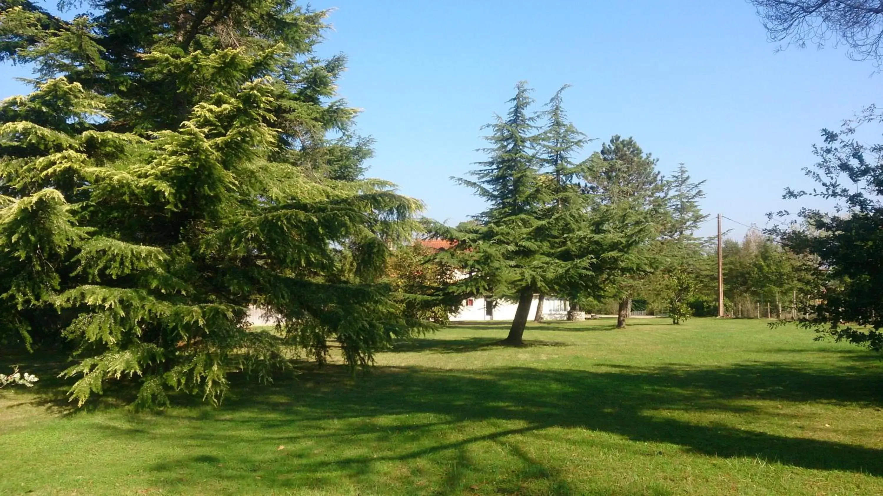 Garden in Le Pontet