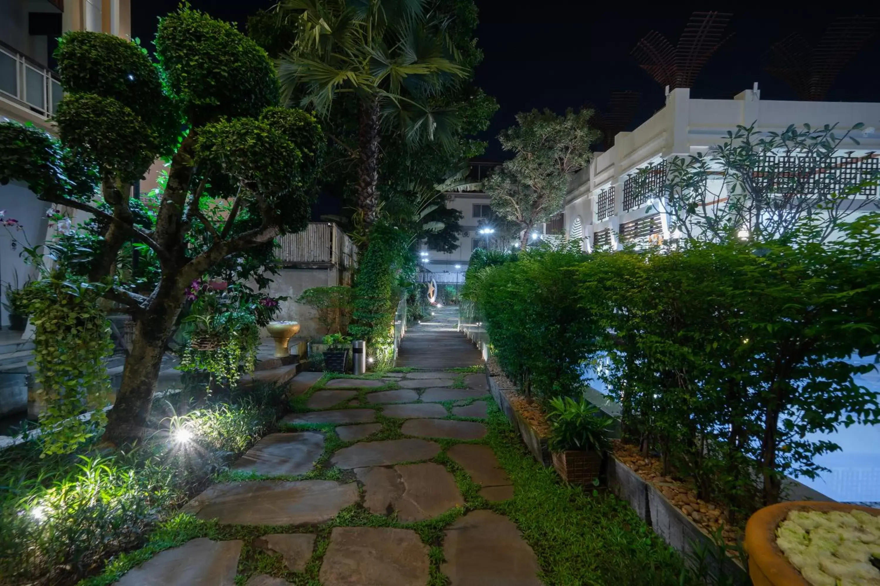 Garden in The Night Hotel