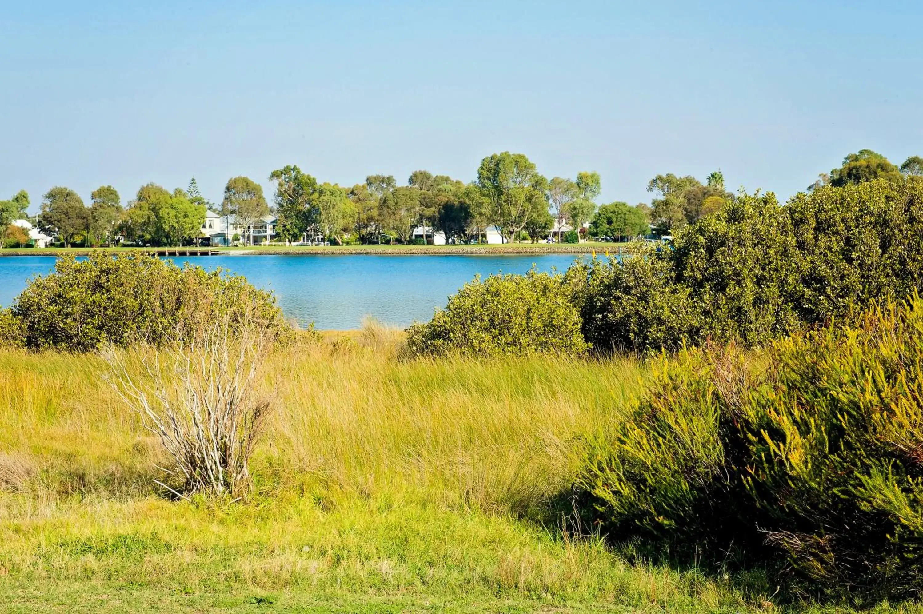 Natural landscape in Discovery Parks - Bunbury Foreshore Natural landscape in Discovery Parks - Bunbury Foreshore