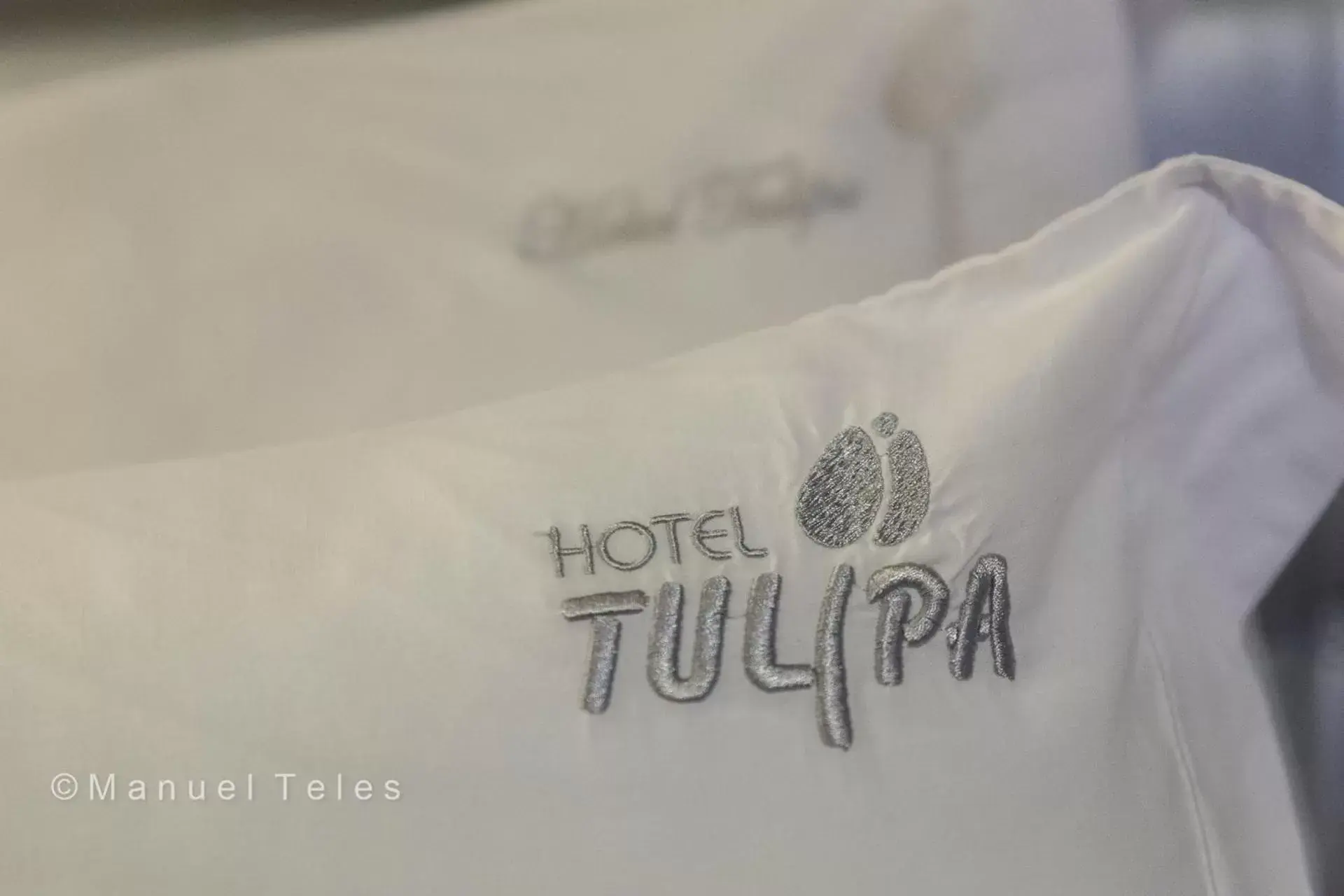 Decorative detail, Property Logo/Sign in Hotel Tulipa