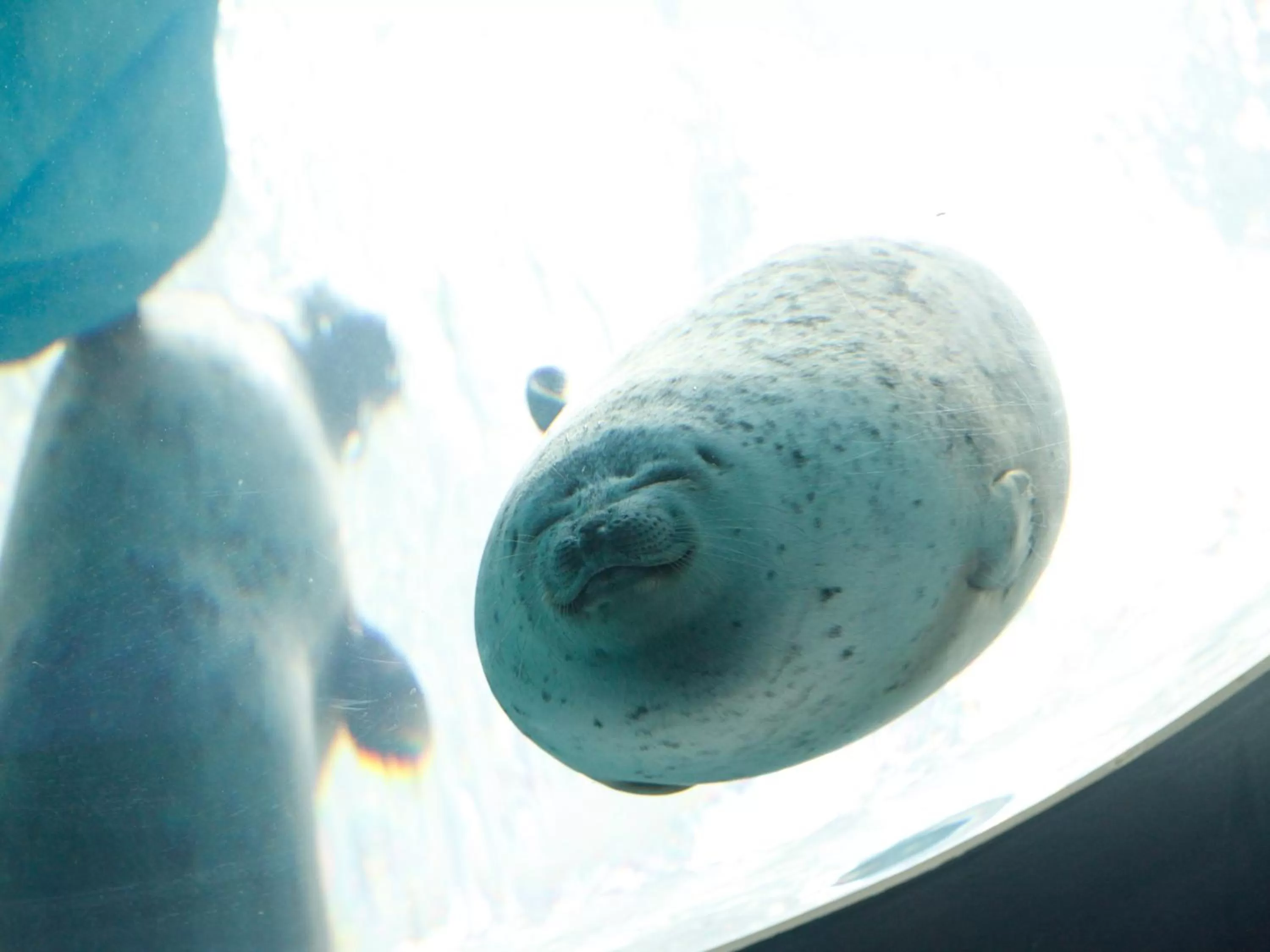 Nearby landmark in Hotel Wing International Select Osaka Umeda