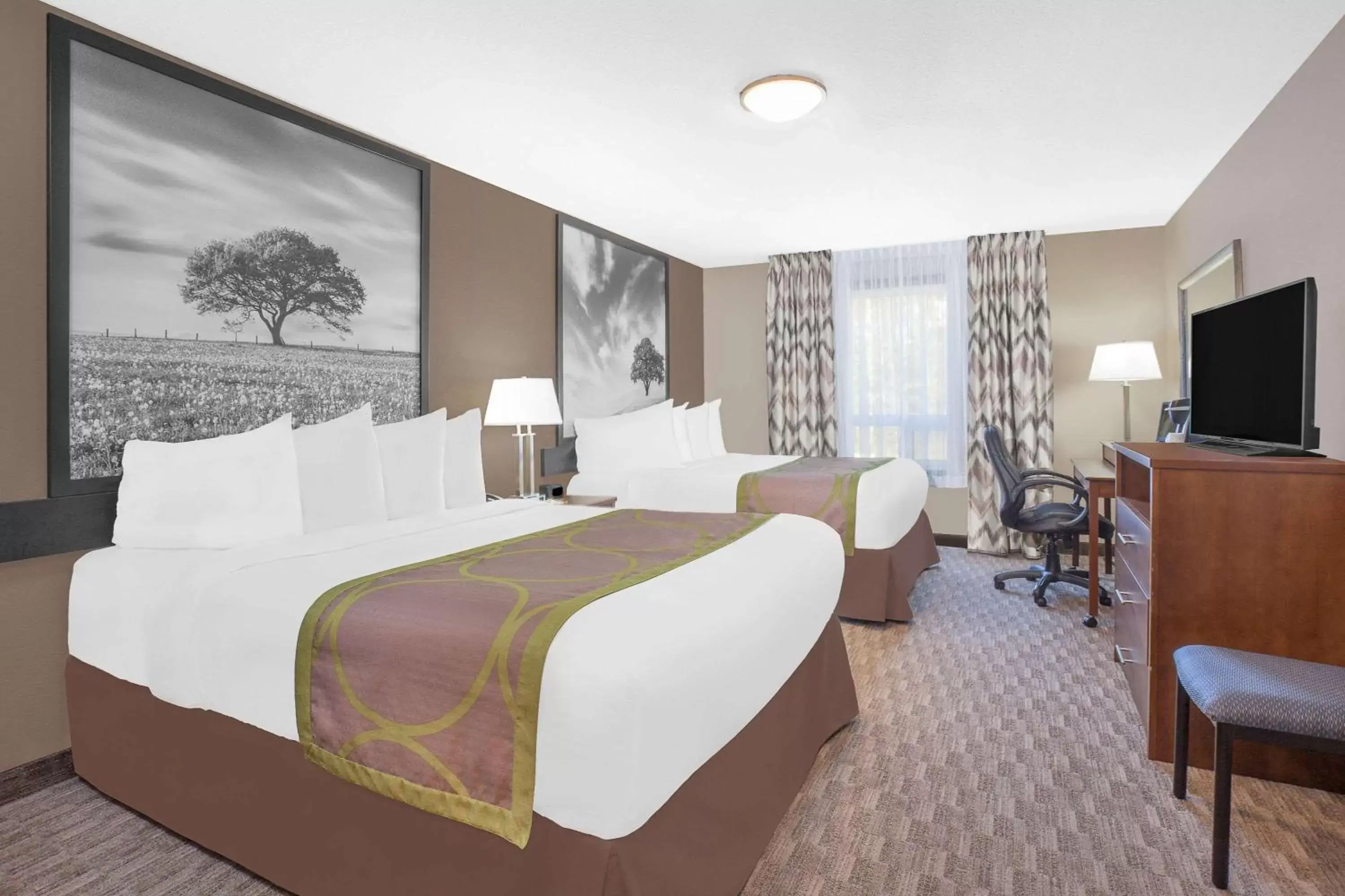 Photo of the whole room, Bed in Super 8 by Wyndham Athabasca AB Photo of the whole room, Bed in Super 8 by Wyndham Athabasca AB