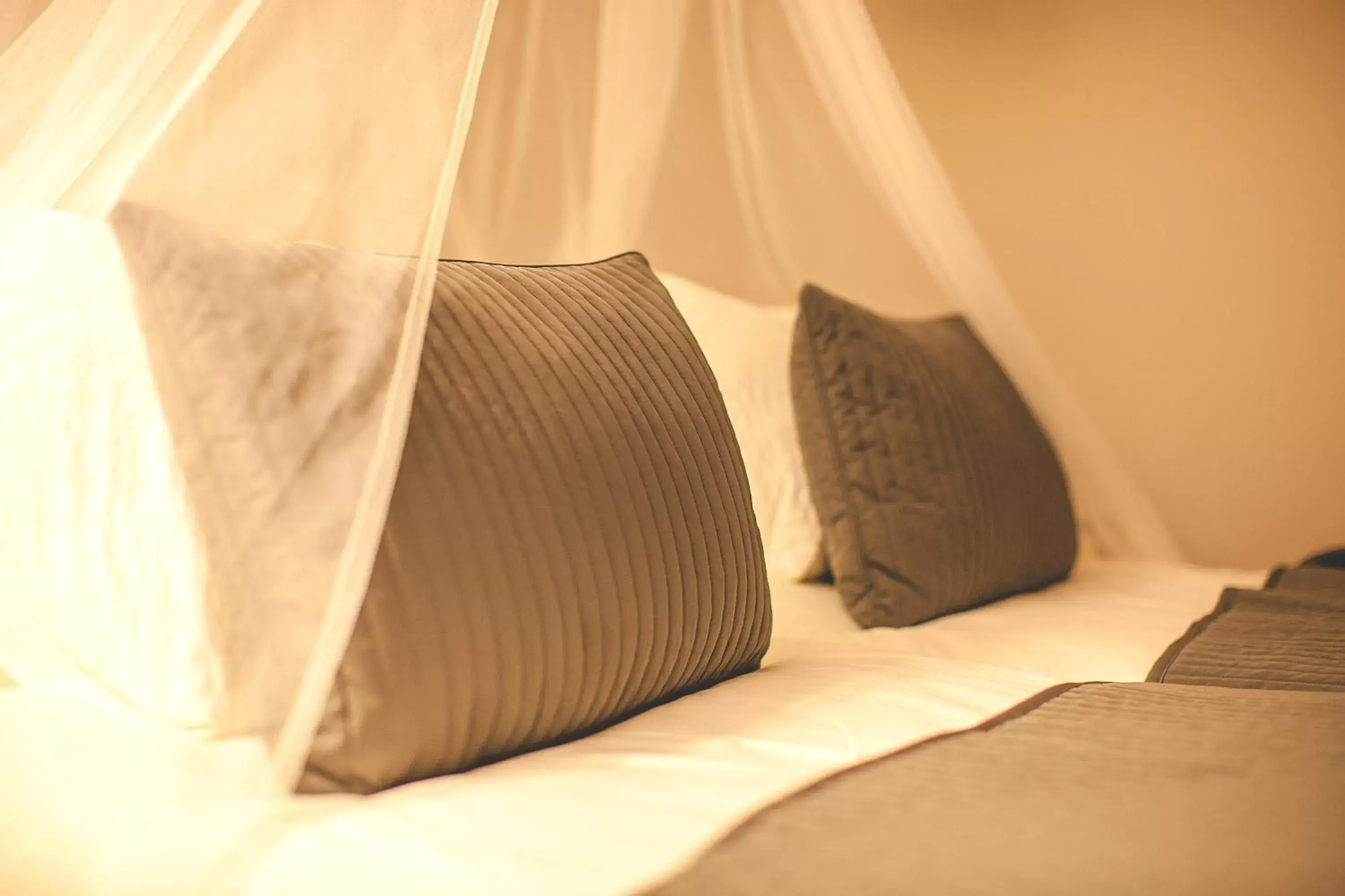 One-Bedroom Apartment with Pool View in Hotel Bodega El Juncal One-Bedroom Apartment with Pool View in Hotel Bodega El Juncal