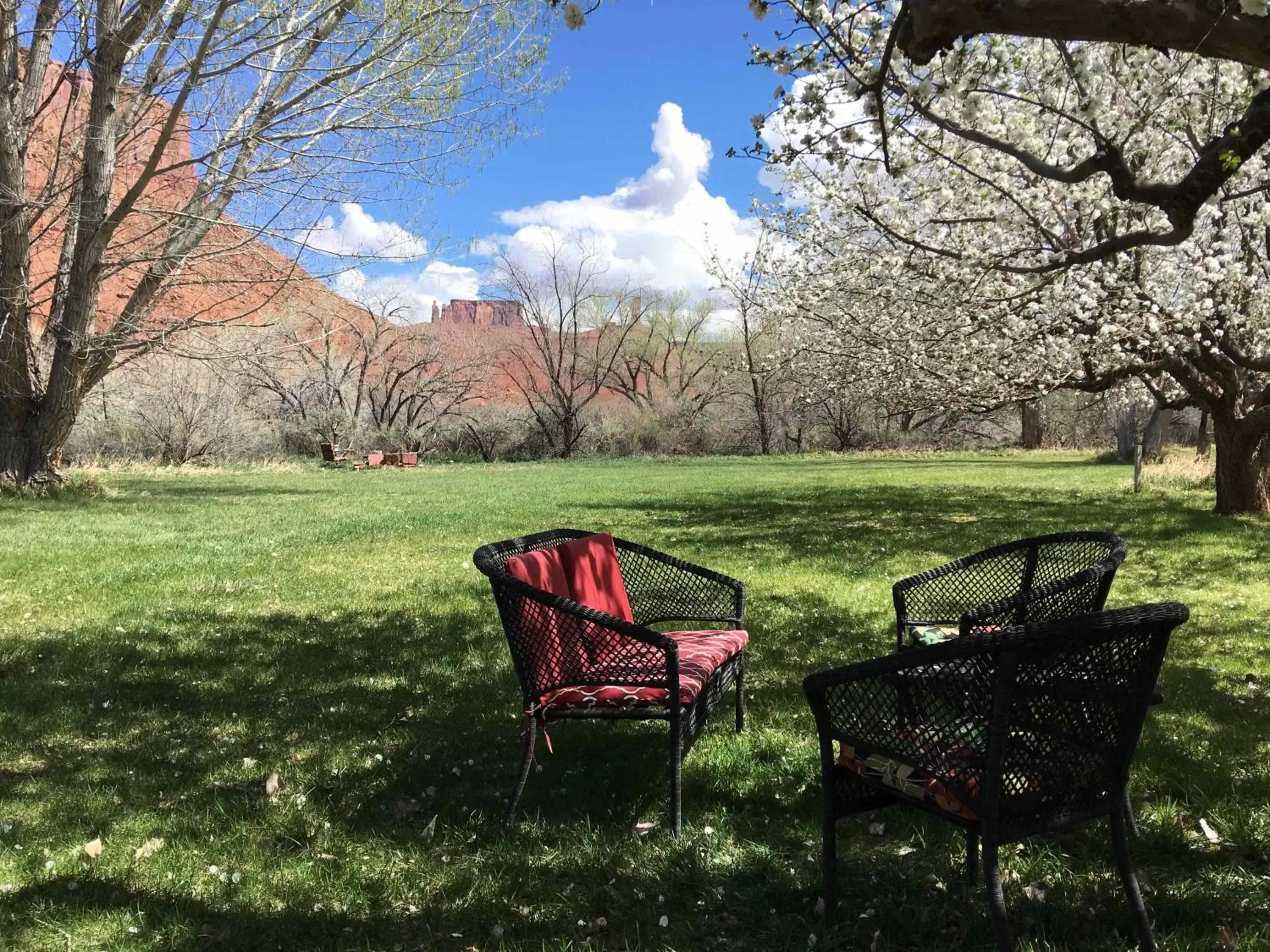 Natural landscape, Garden in Castle Valley Inn