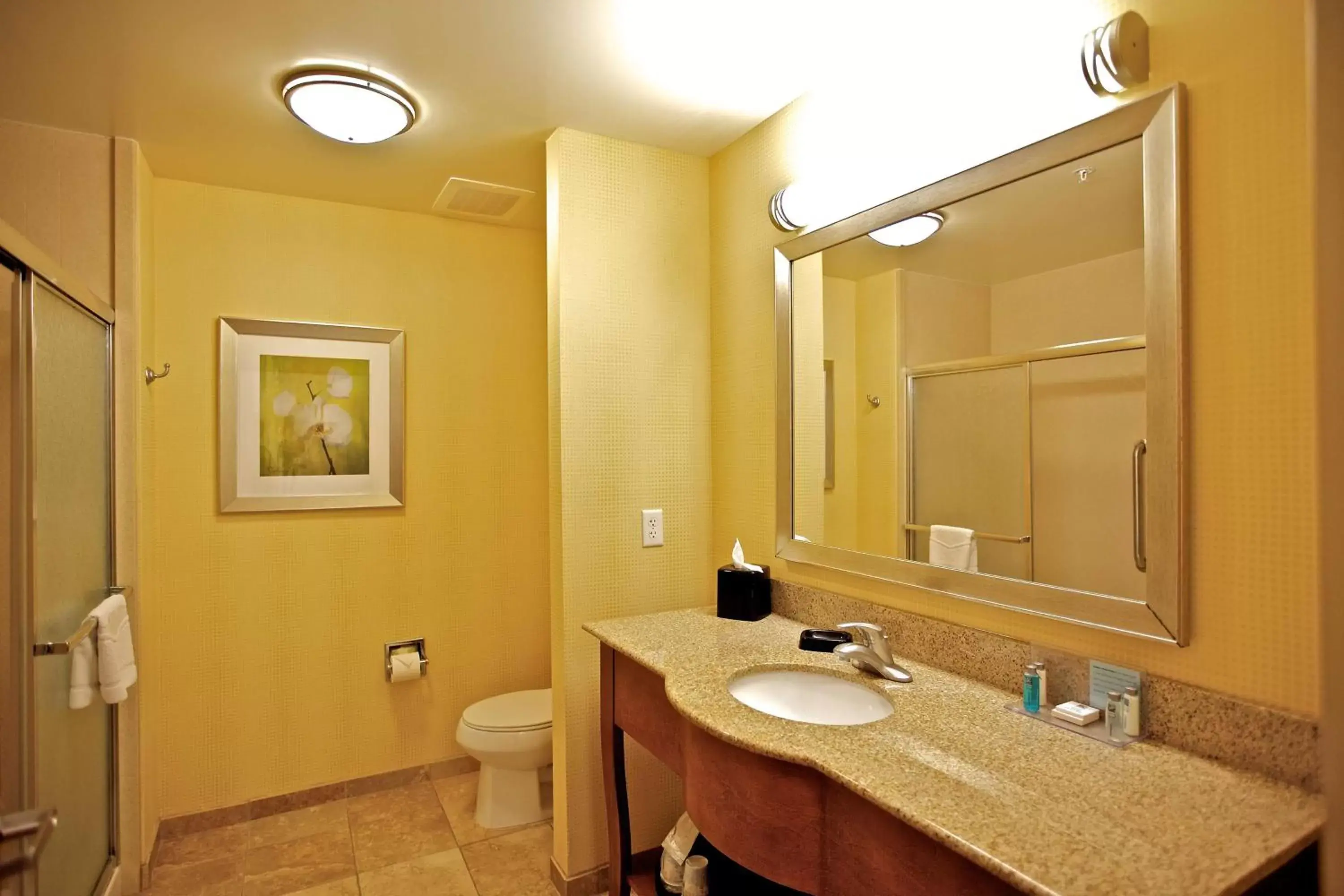 Bathroom in Hampton Inn Ringgold-Ft. Oglethorpe