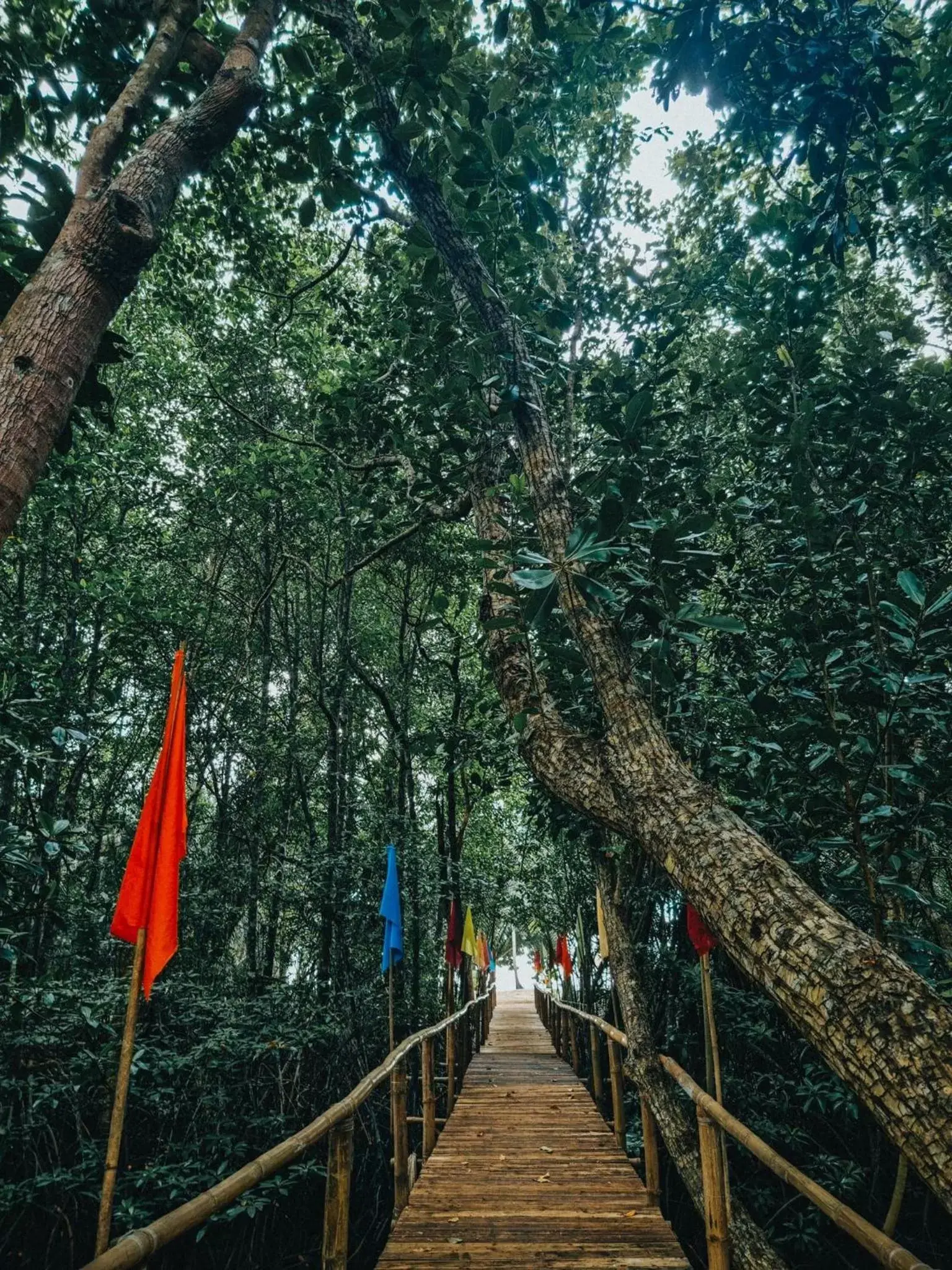 Natural landscape in Panja Resort Palawan