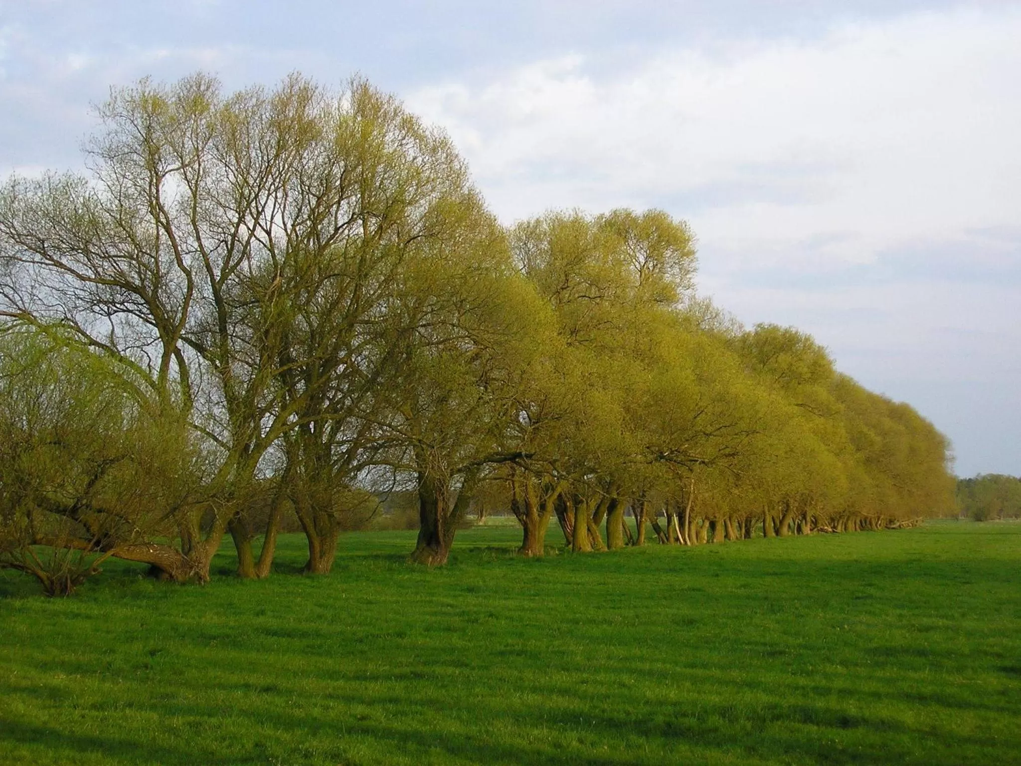 Other in Parkhotel Schönewalde