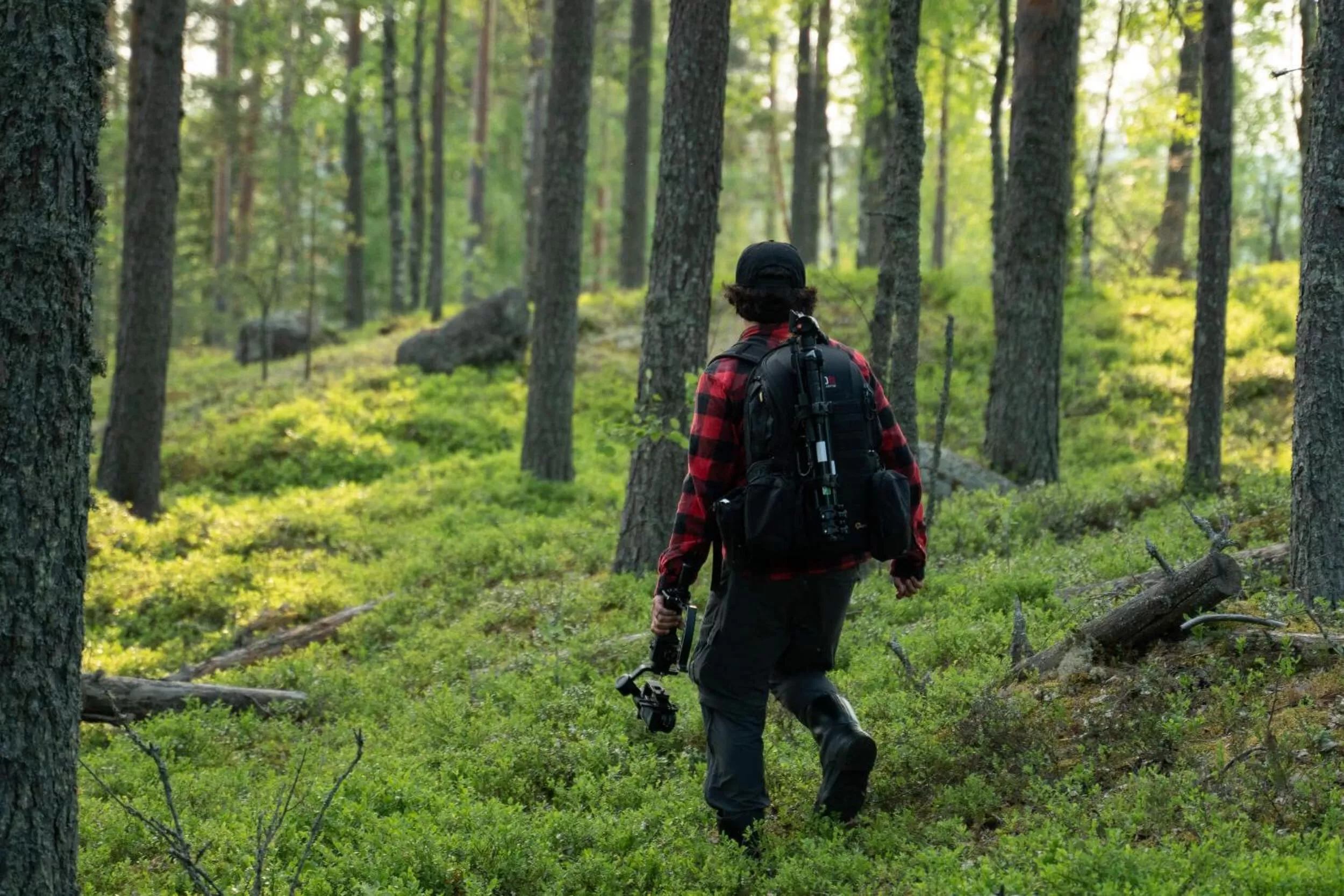 Activities in Olo Center by Kolovesi National Park