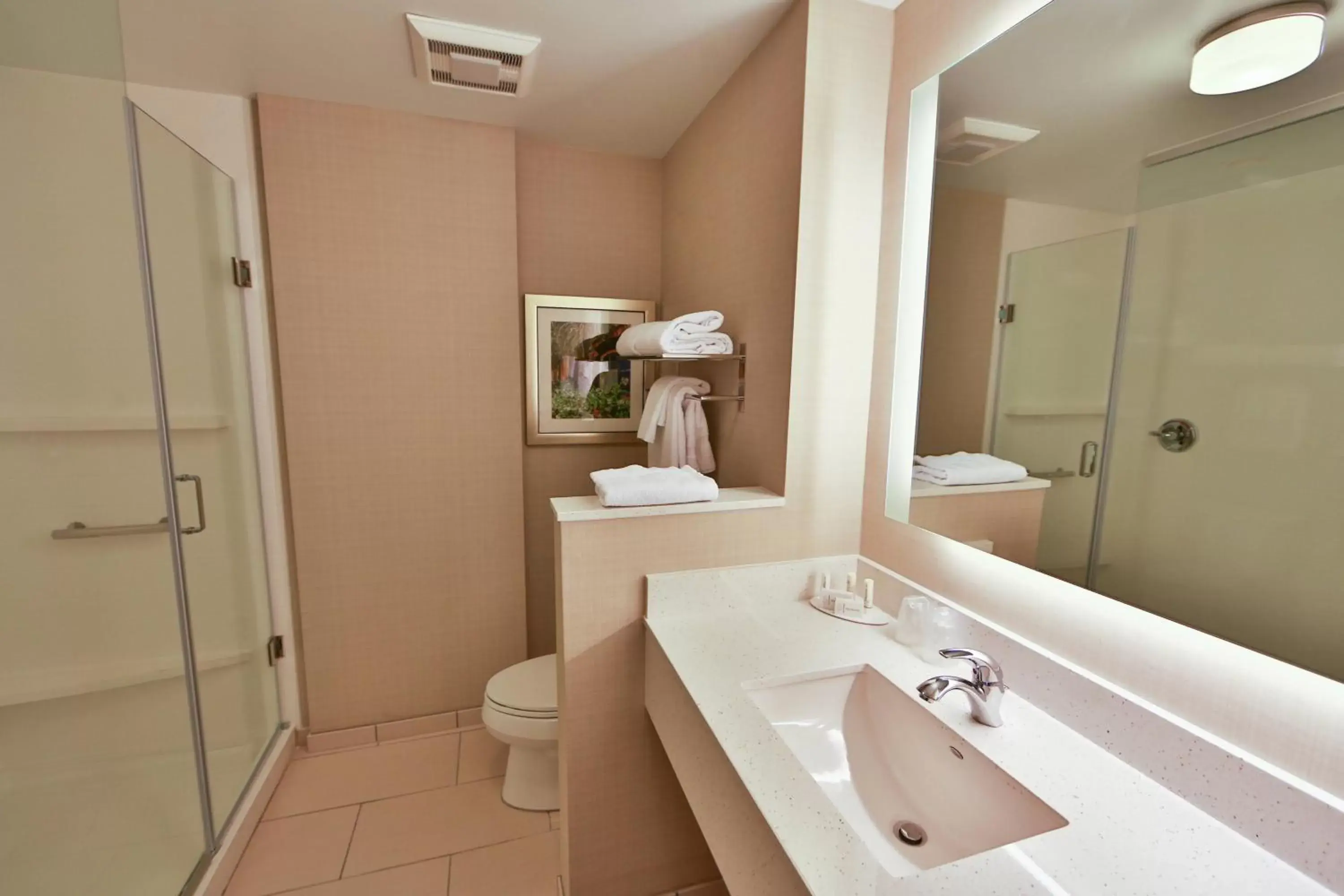 Bathroom in Fairfield Inn & Suites by Marriott Savannah Midtown