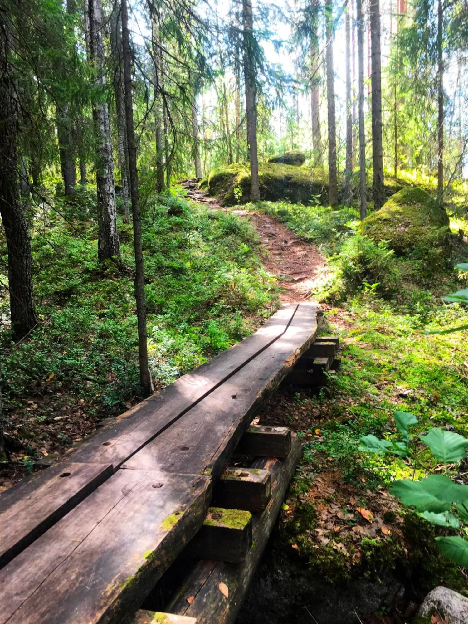 Natural landscape in Olo Center by Kolovesi National Park