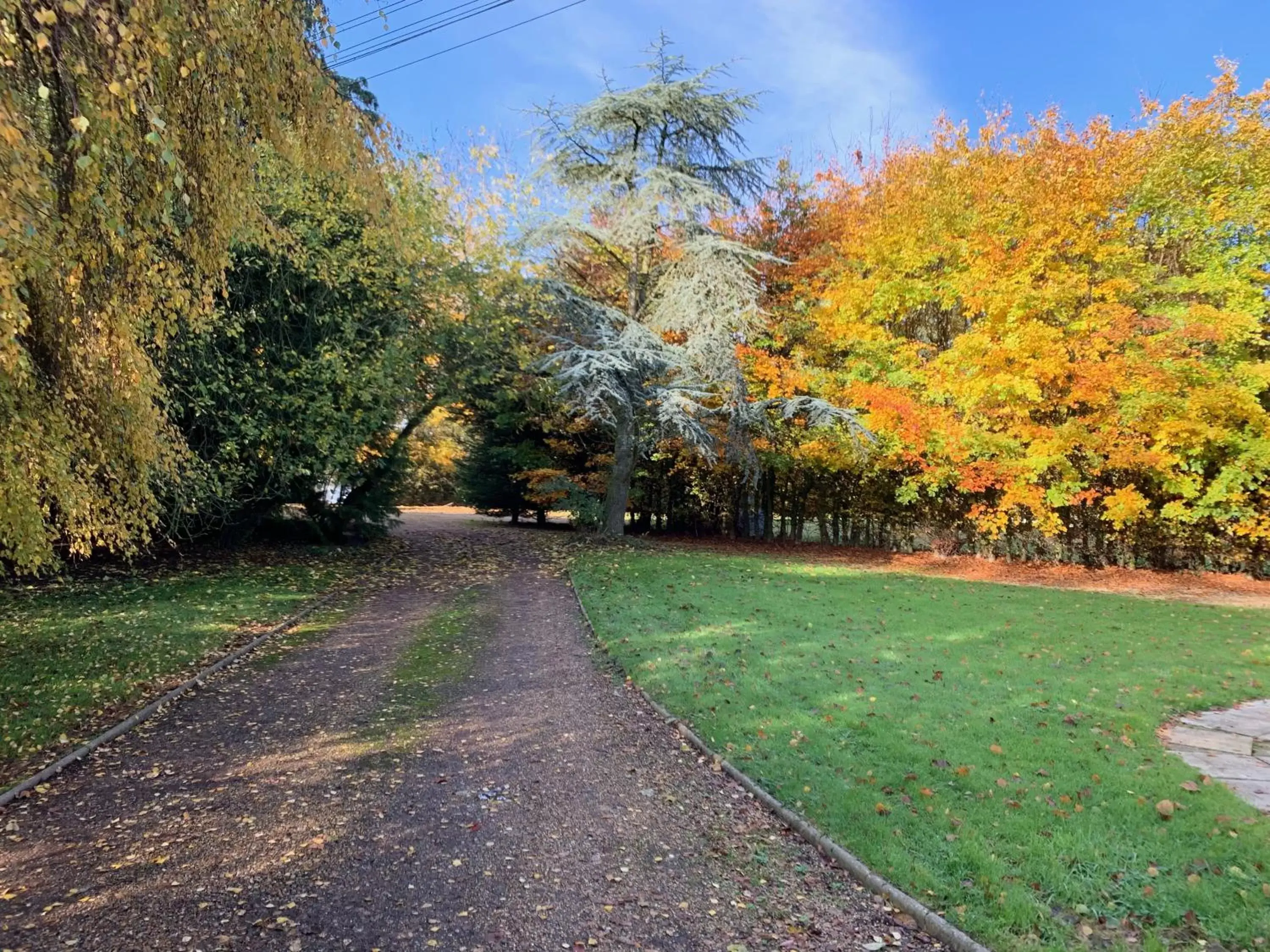 View (from property/room), Garden in Aldercarr Hall