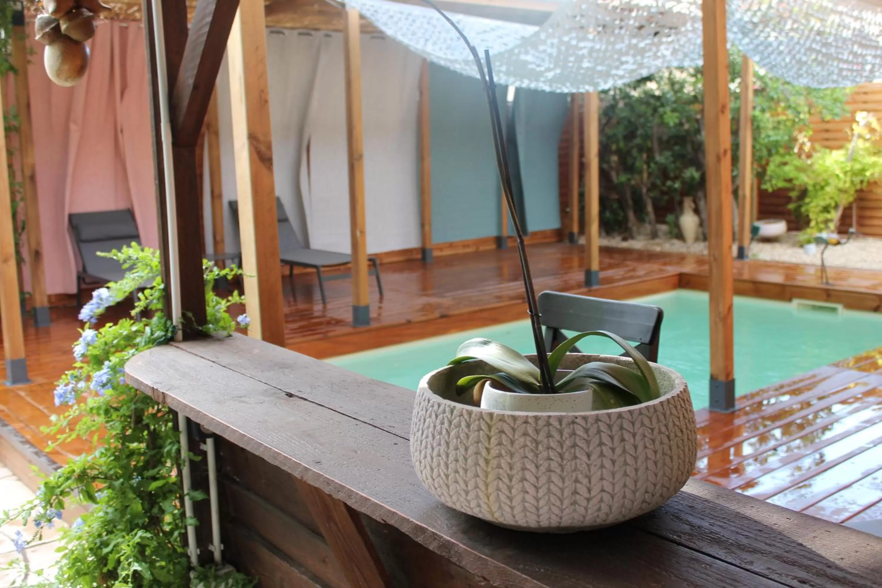 Swimming pool in Les 2 Drôles d'Oiseaux