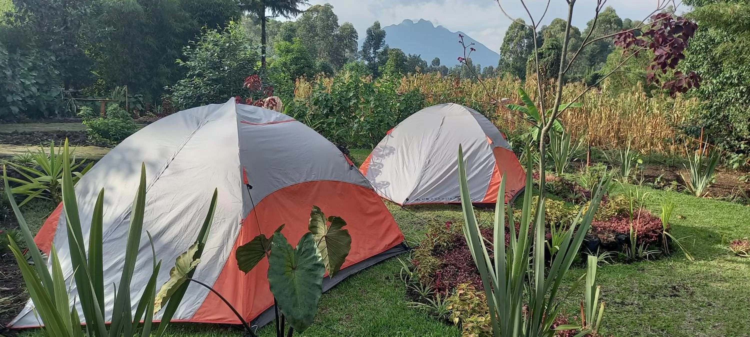 Day in Fravan Eco Resort By Apogee