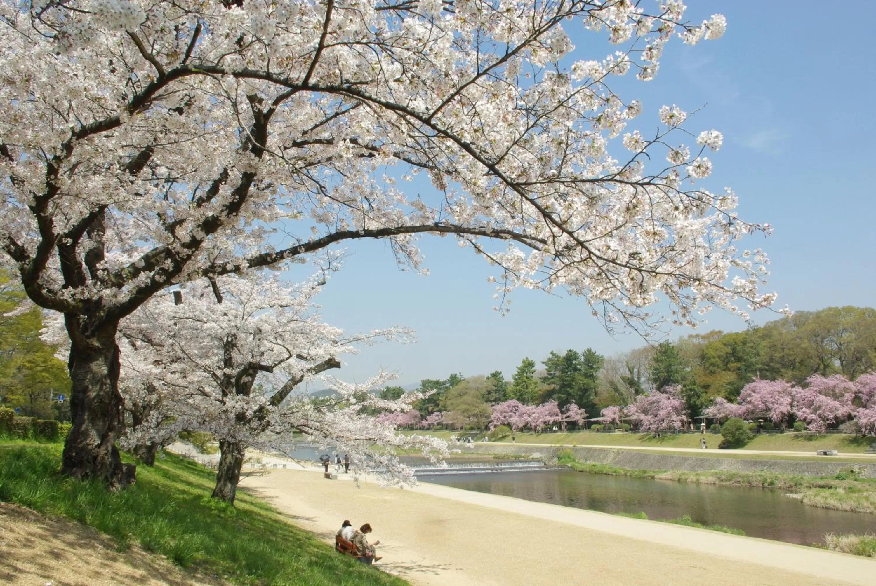 Nearby landmark in Urban Hotel Kyoto