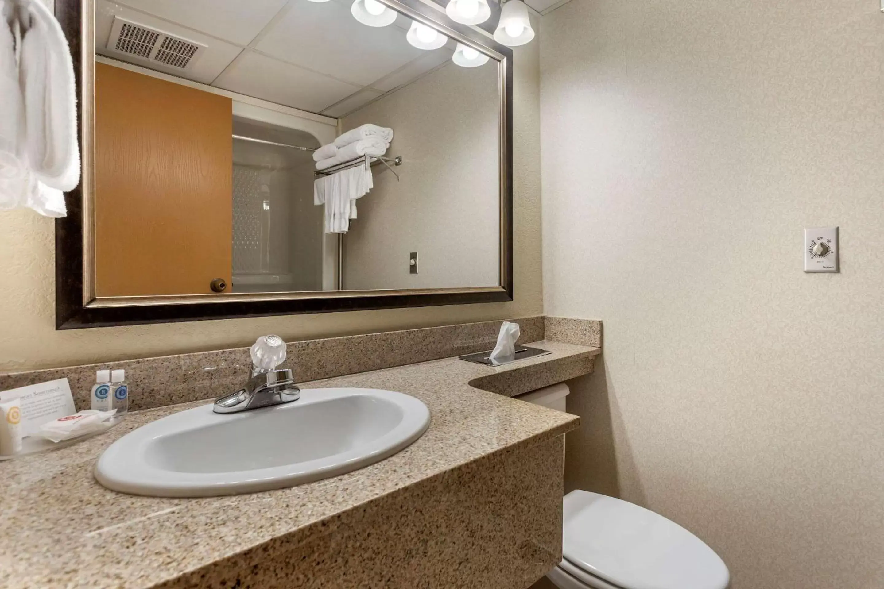 Bathroom in Comfort Inn at Thousand Hills