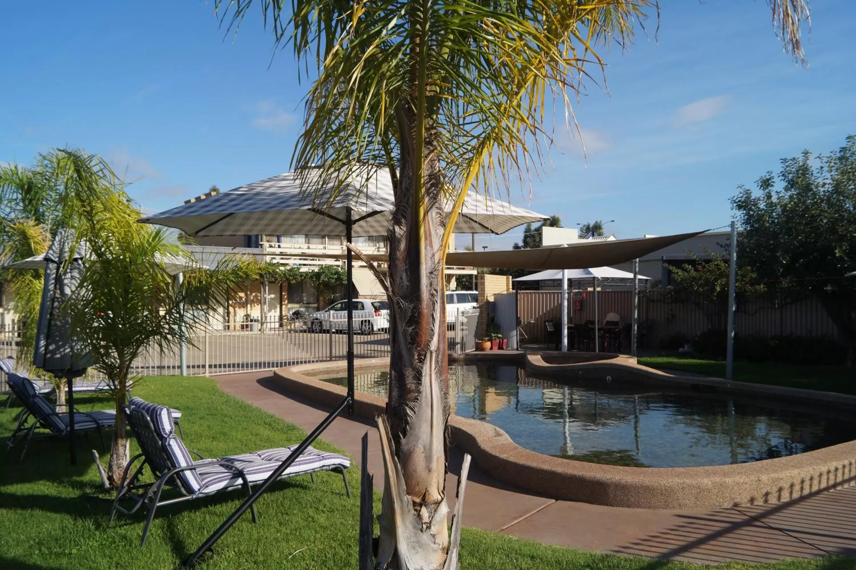 Garden, Swimming Pool in Belltower Motor Inn