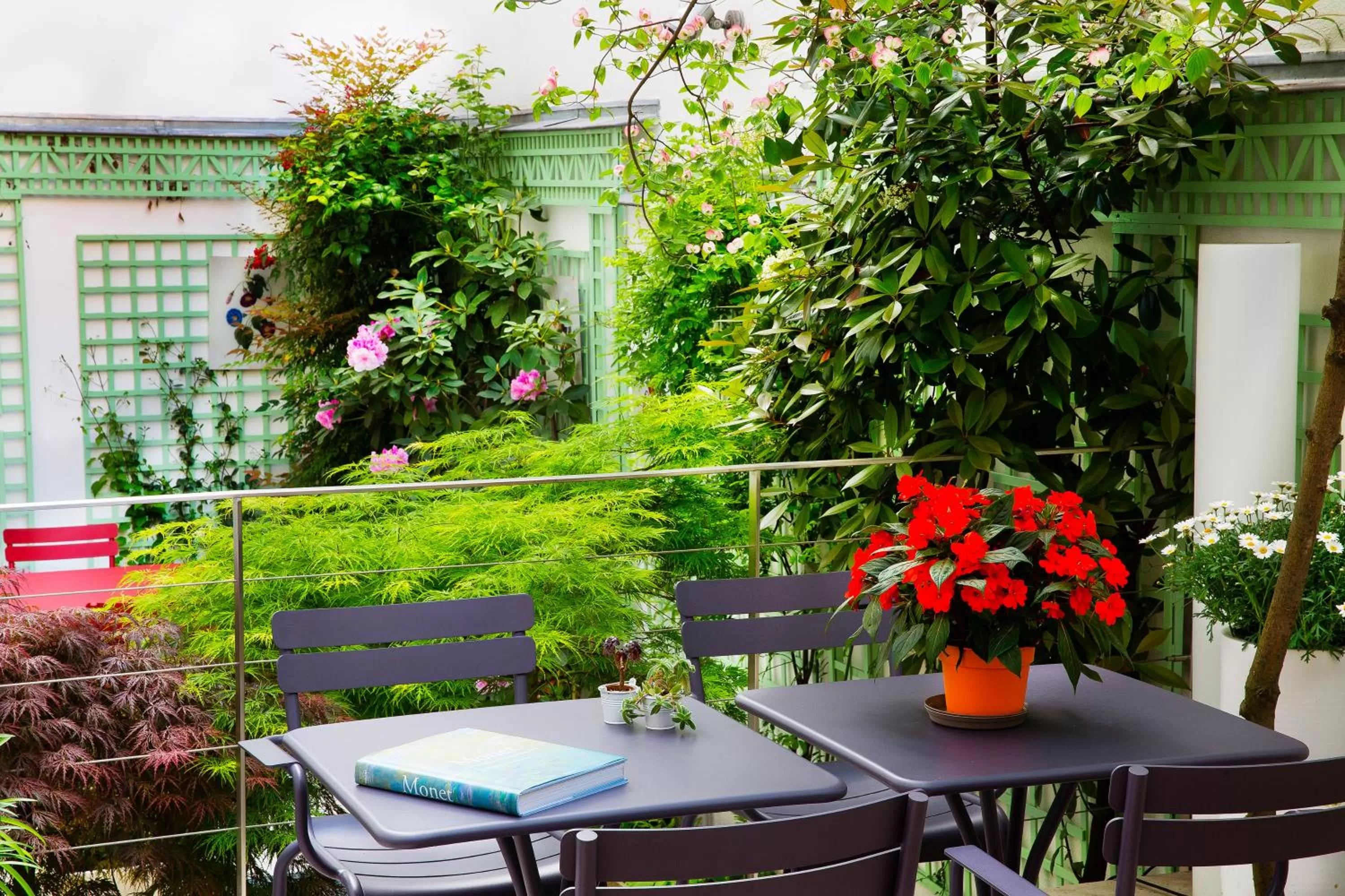 Balcony/Terrace in Hôtel Mistral