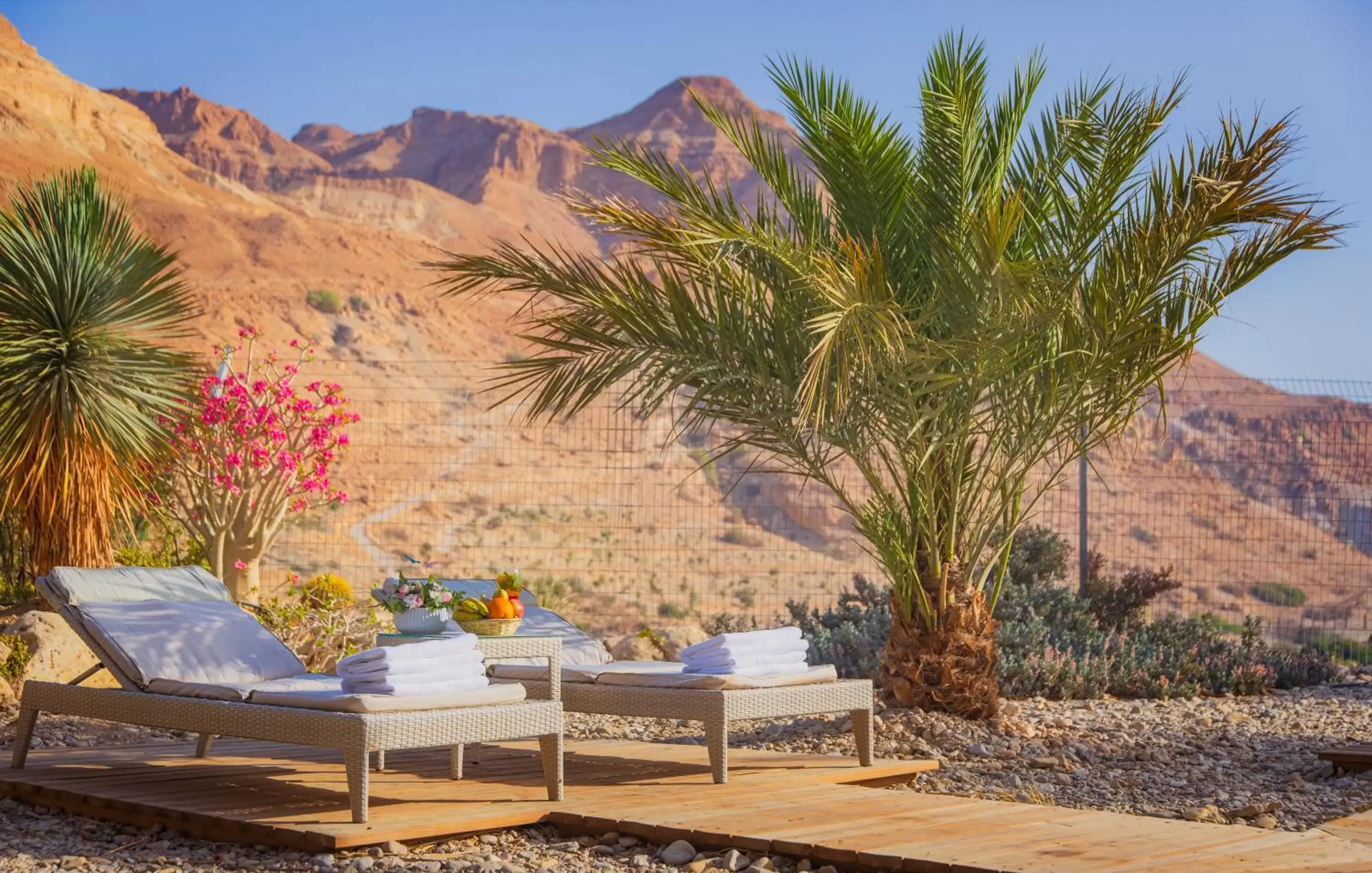 Mountain view in Ein Gedi Kibbutz Hotel