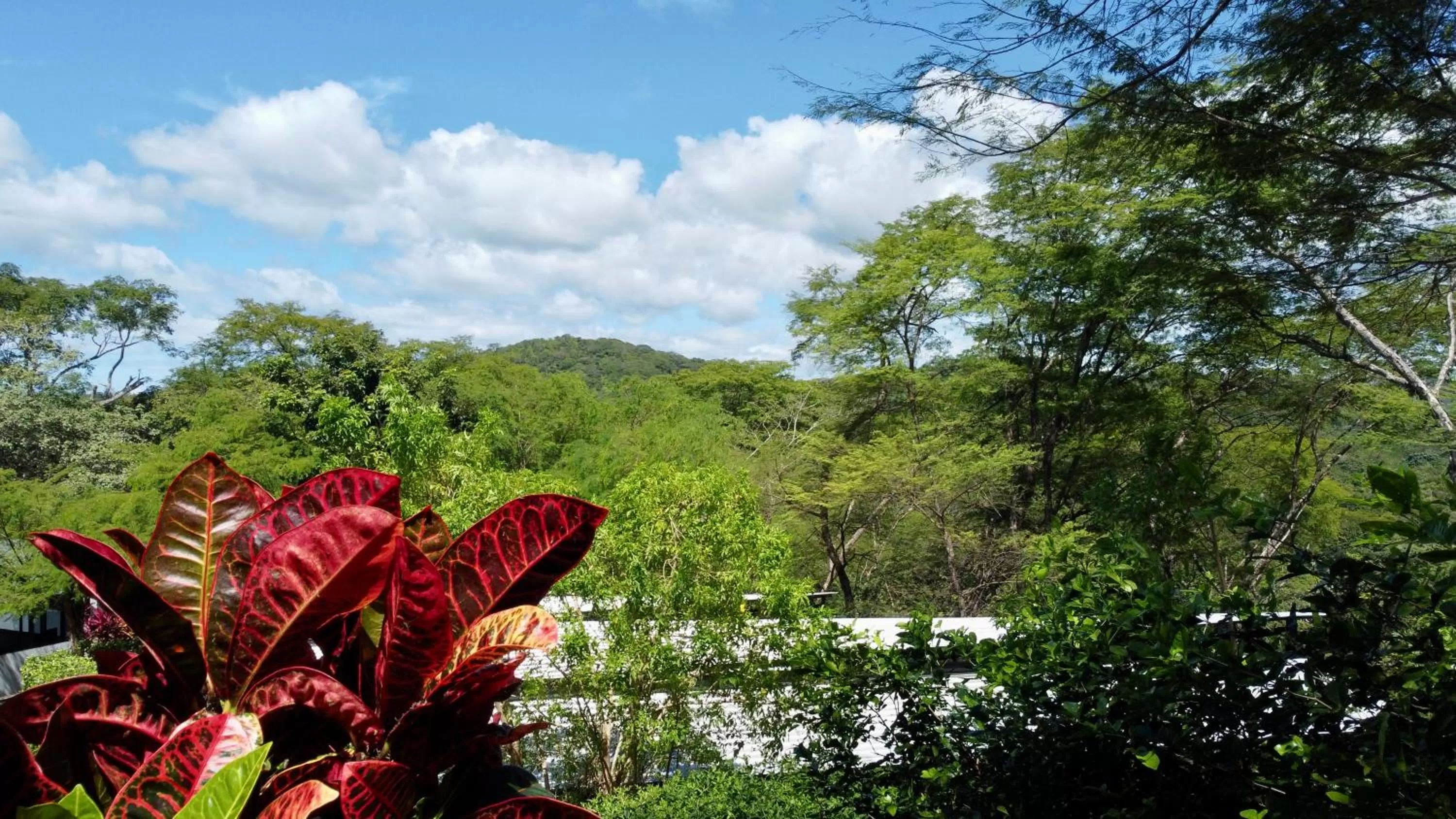 Natural landscape in Pacific Kalokairi - Adults Only
