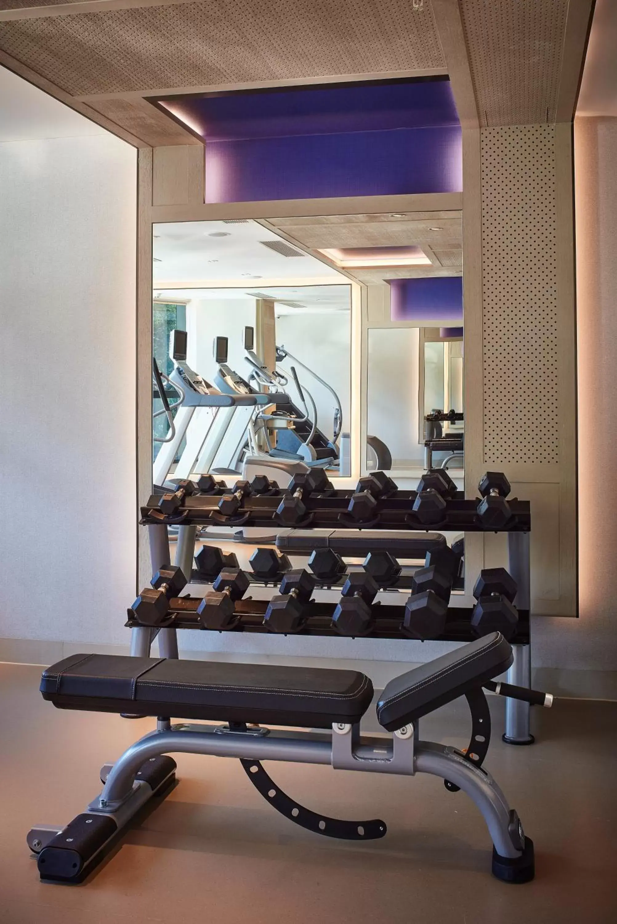 Fitness centre/facilities, Fitness Center/Facilities in The Emperor Hotel