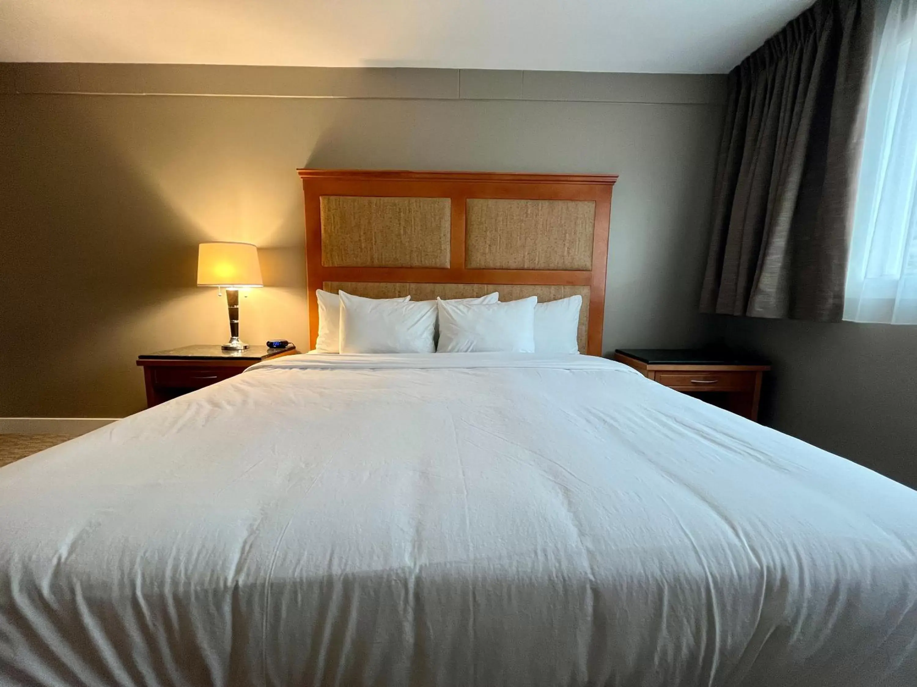 Bed in Anavada Inn & Suites - Prince George