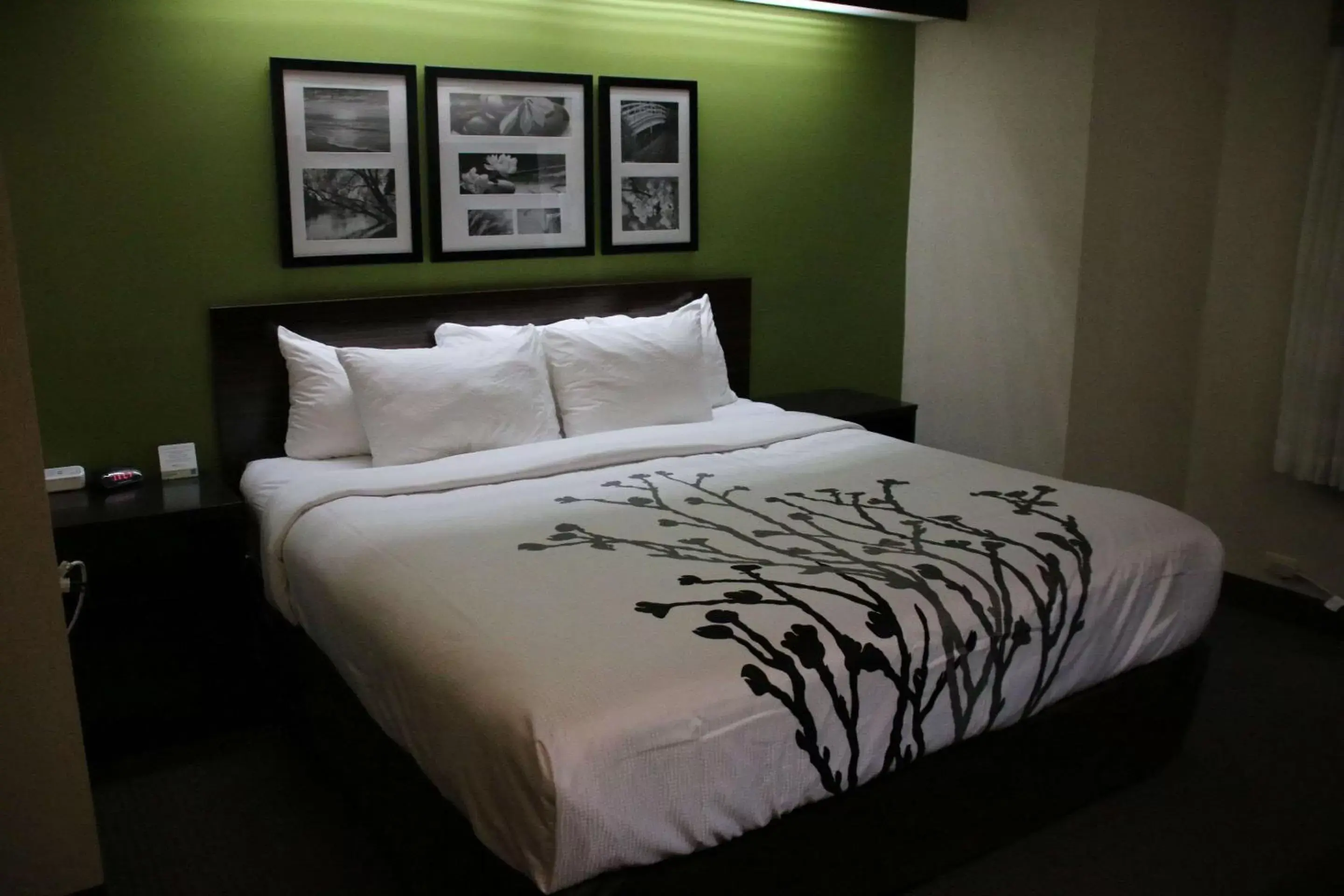 Photo of the whole room, Bed in Sleep Inn near Great Lakes Naval Base