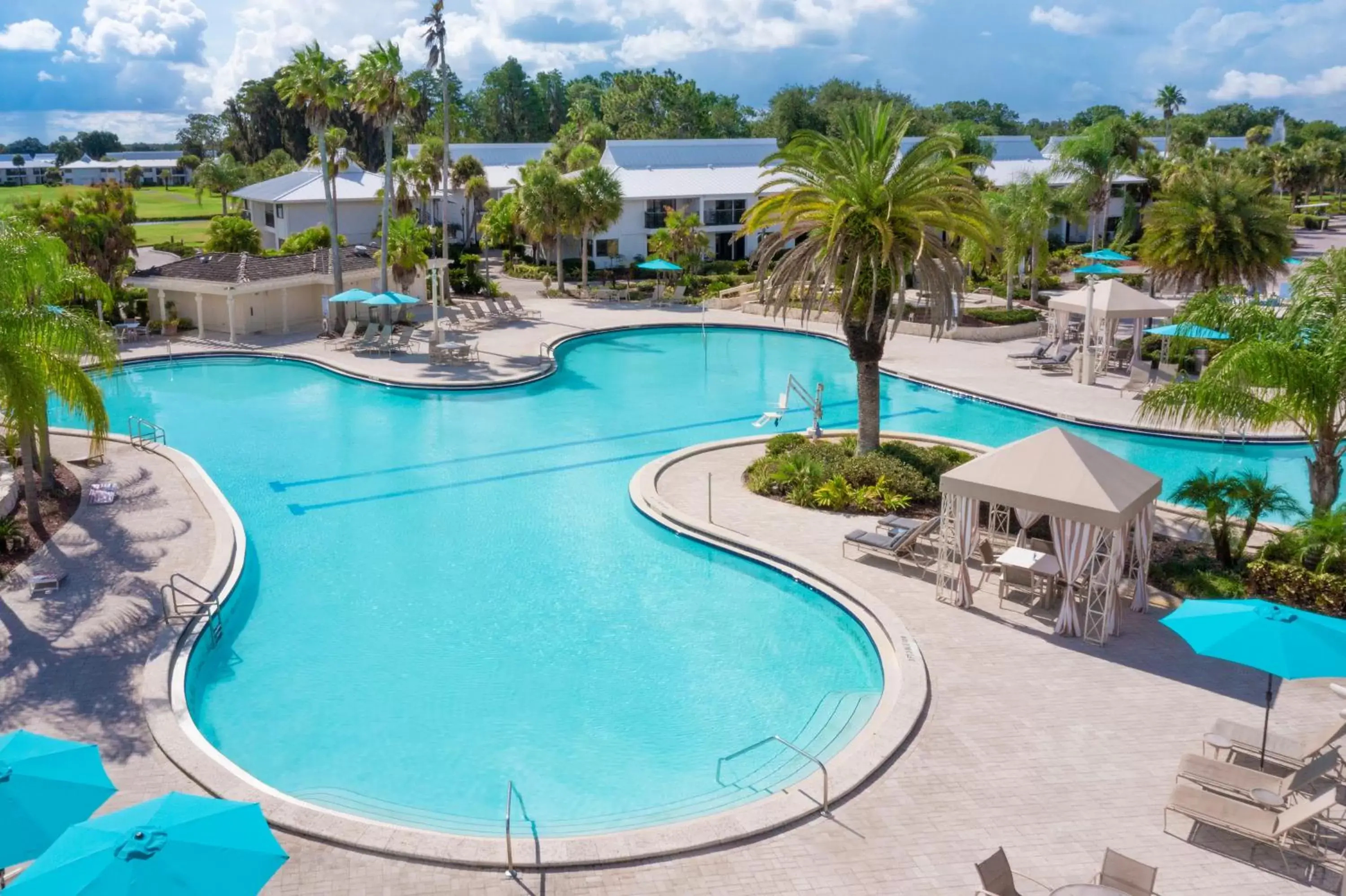 Swimming pool, Pool View in Saddlebrook Golf Resort & Spa Tampa North-Wesley Chapel